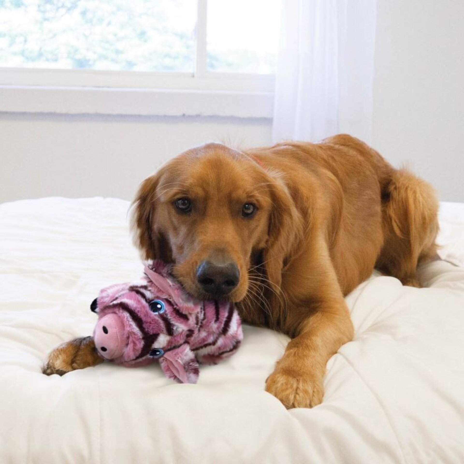 Peluche Kong Low Stuff Stripes Pig - 1