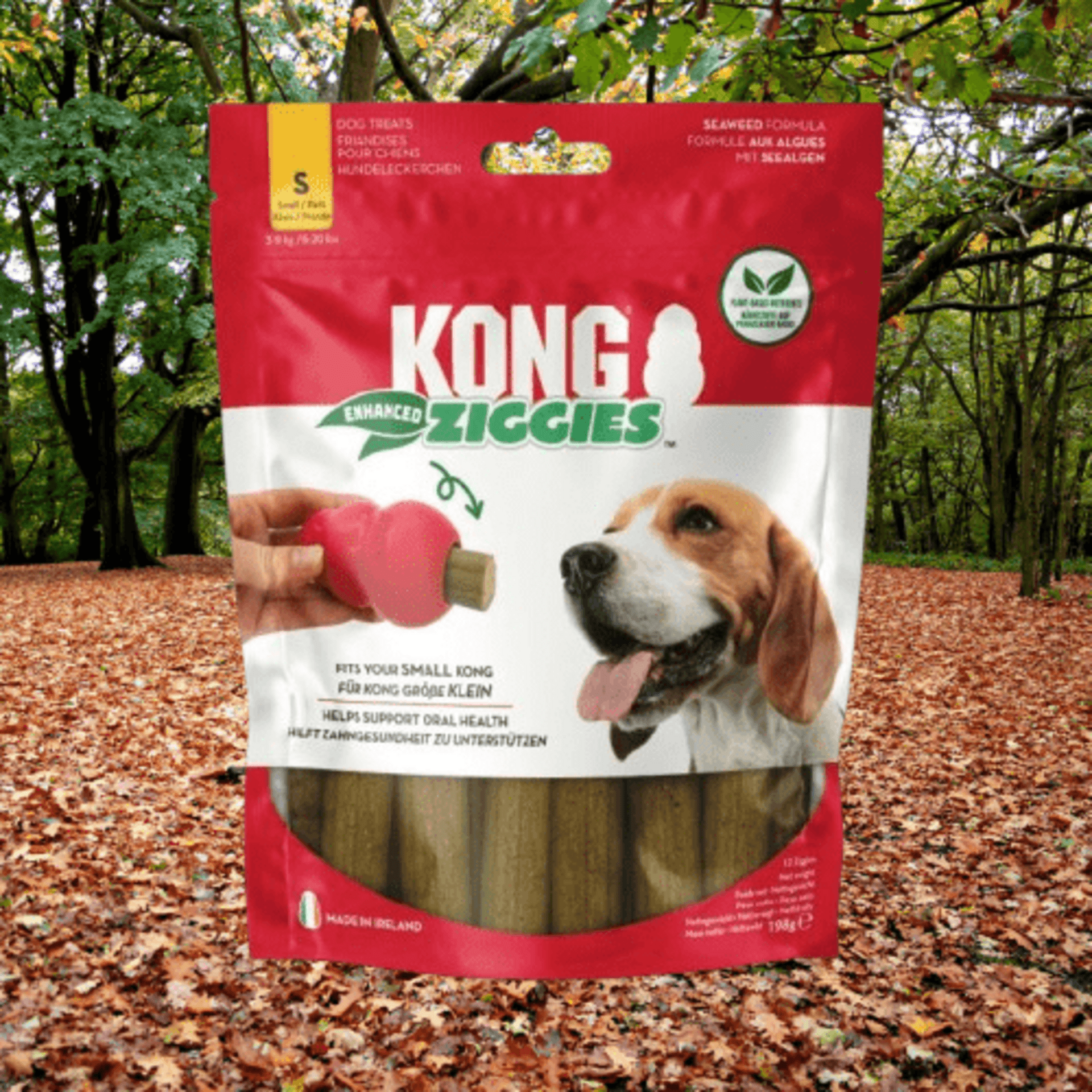 Kong Ziggies Enahanced Dental - 1