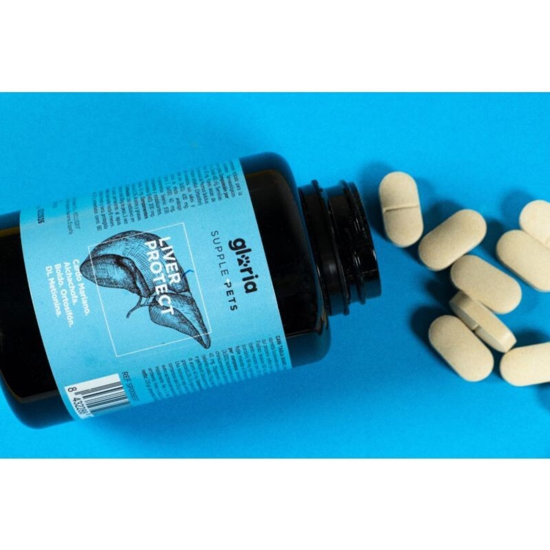 Liver Protect - 3