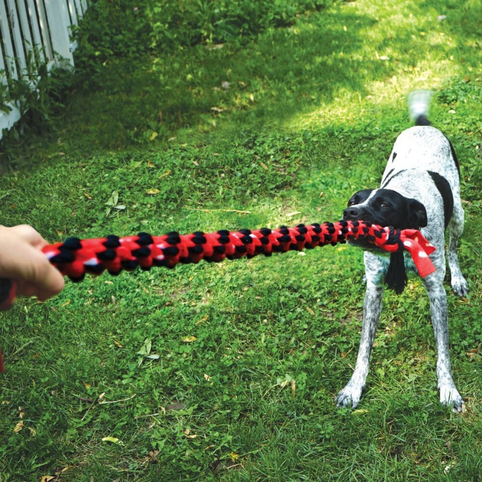 Kong Signature Rope Aro - 3