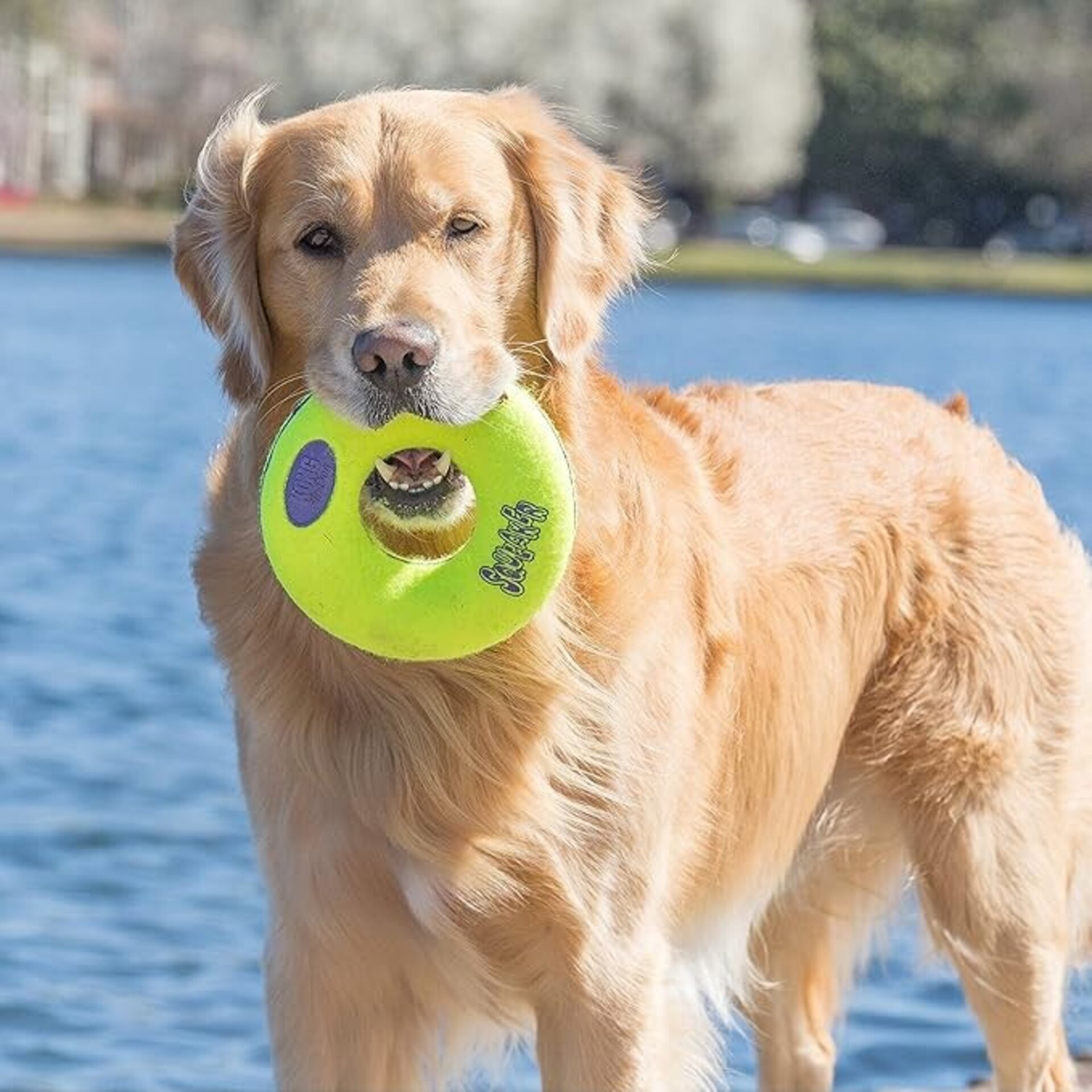 Airkong Donut Squeaker Kong - 1