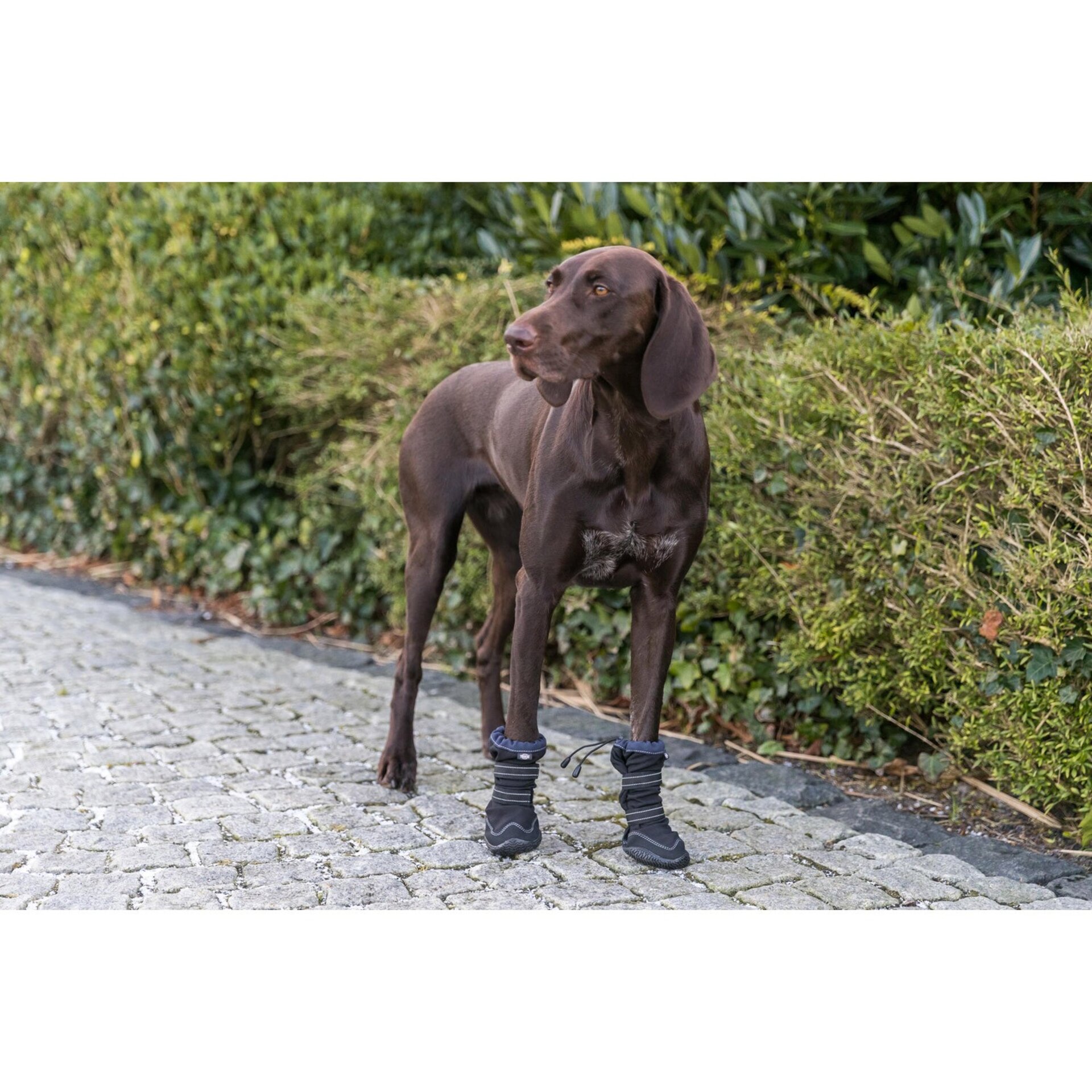 Andador De Protección De Patas Activo Largo - 2