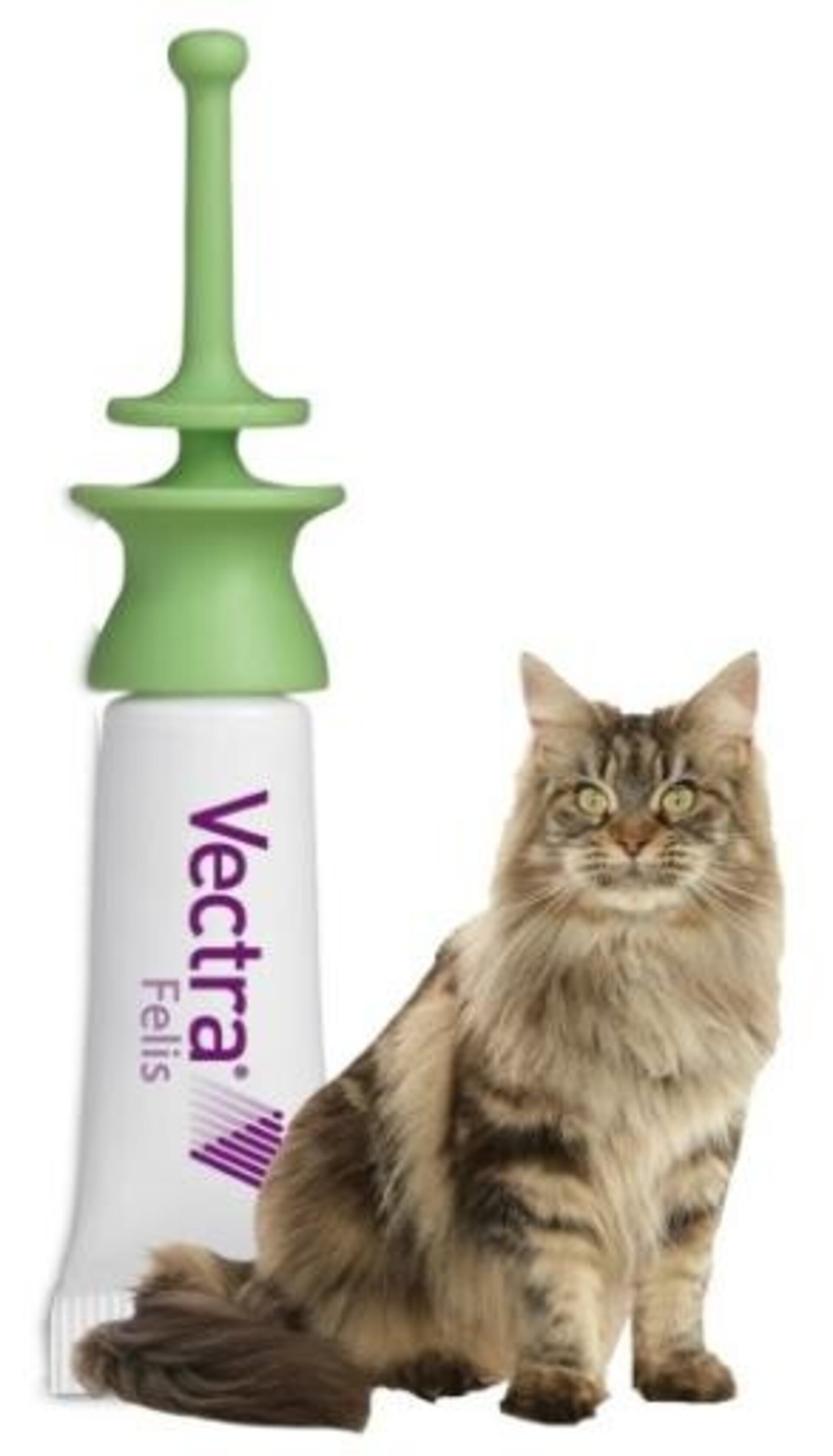 Vectra Felis Solución Spot-On Para Gatos - 3