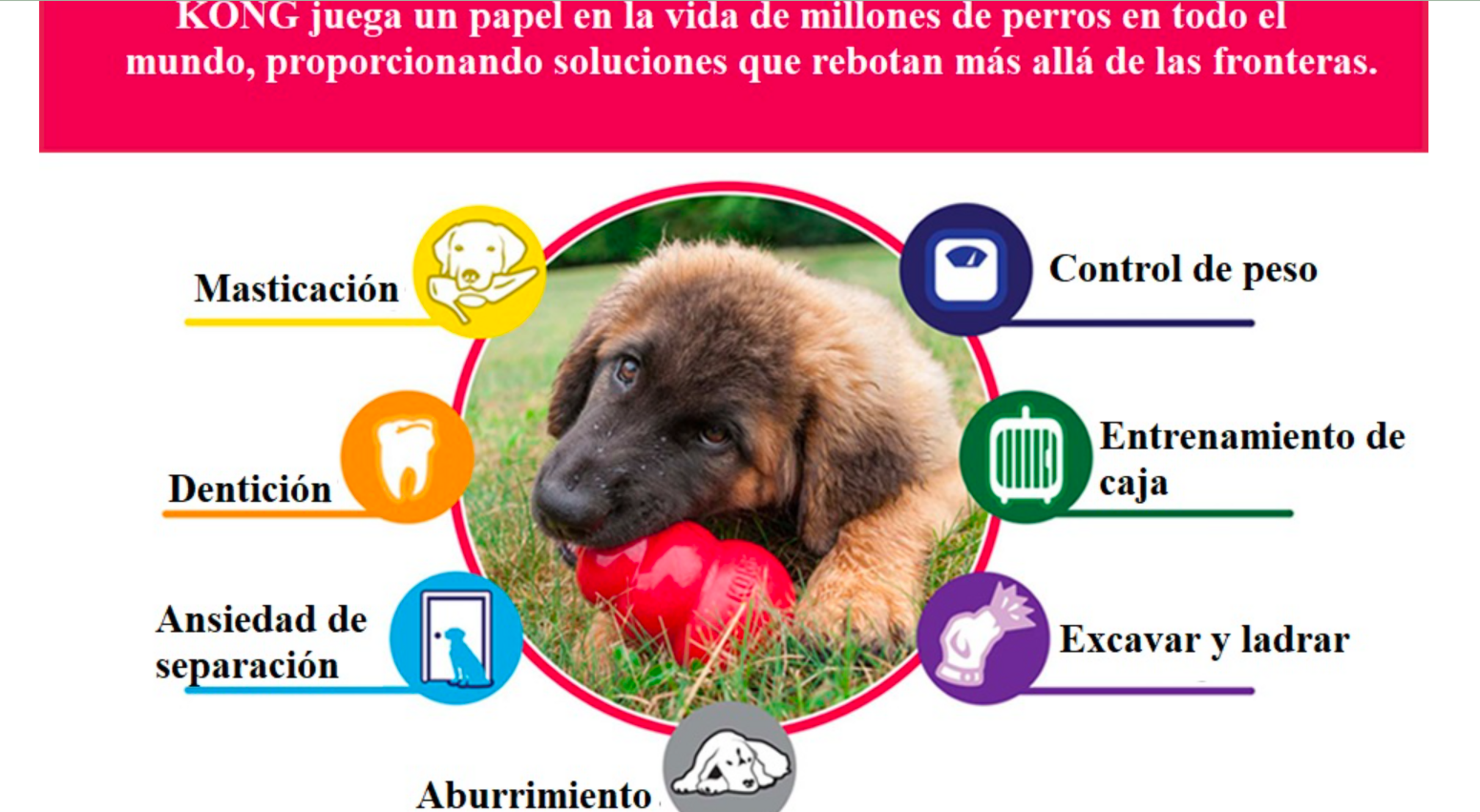 Kong Easy Treat Sabor A Hígado - 2
