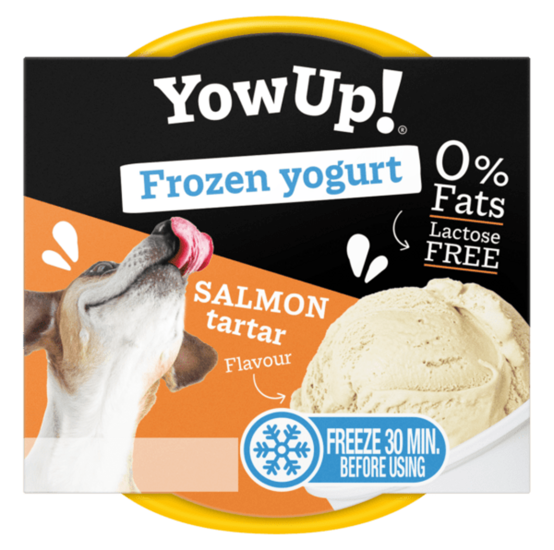 Helado Yowup Yogur Tartar Salmon - 2