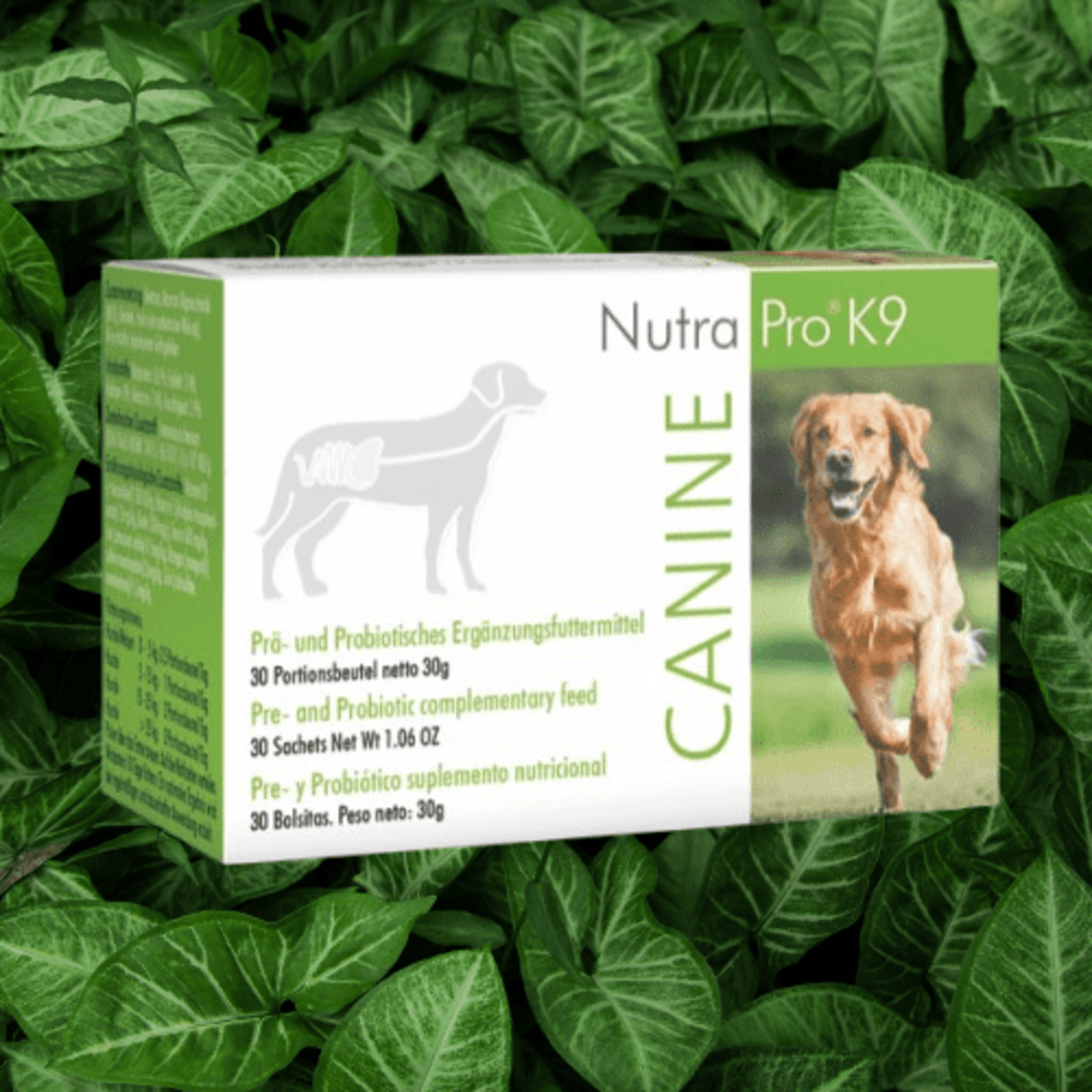 NutraPro K9 Perro - 2
