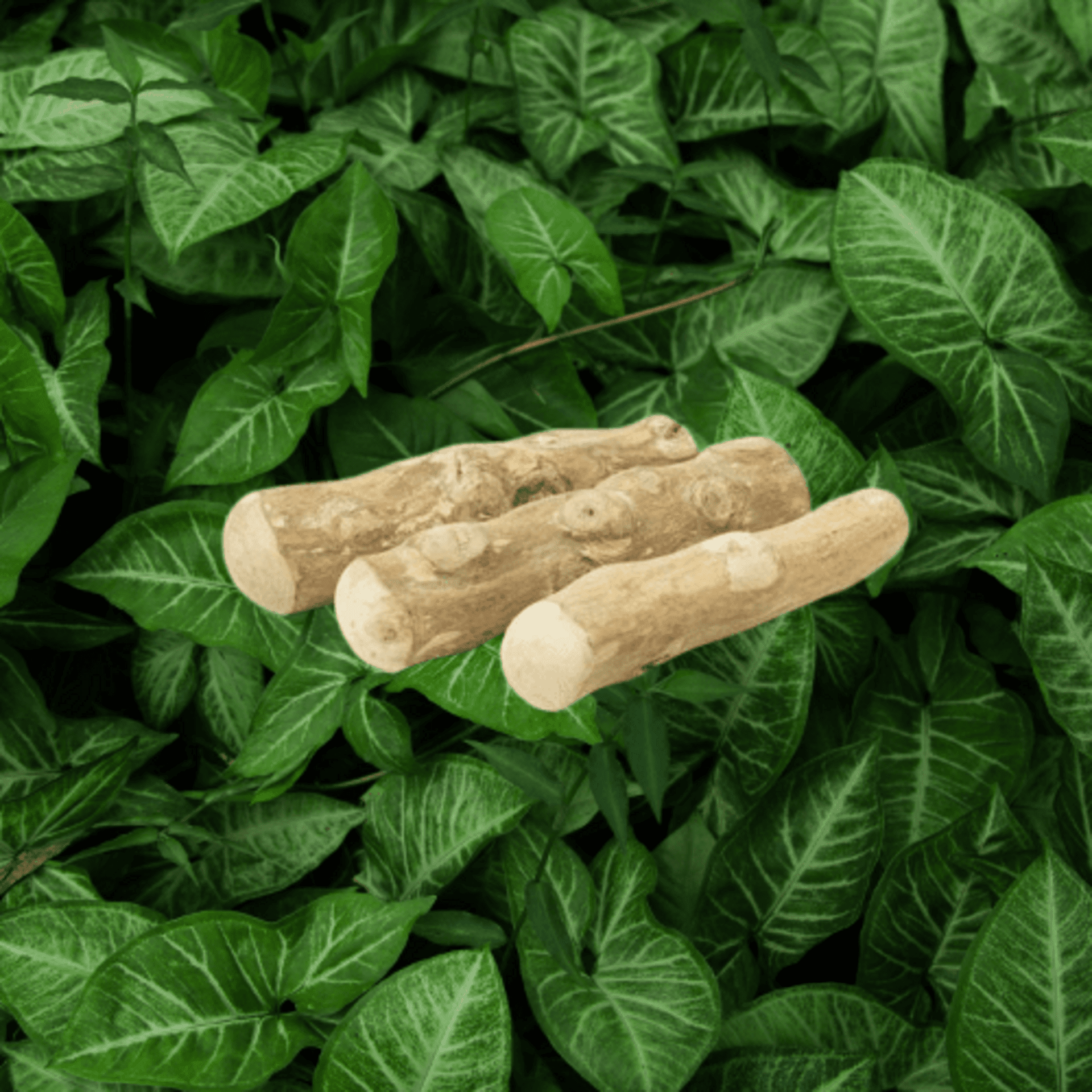 Stick Masticable Natural De Madera De Cafe - 1