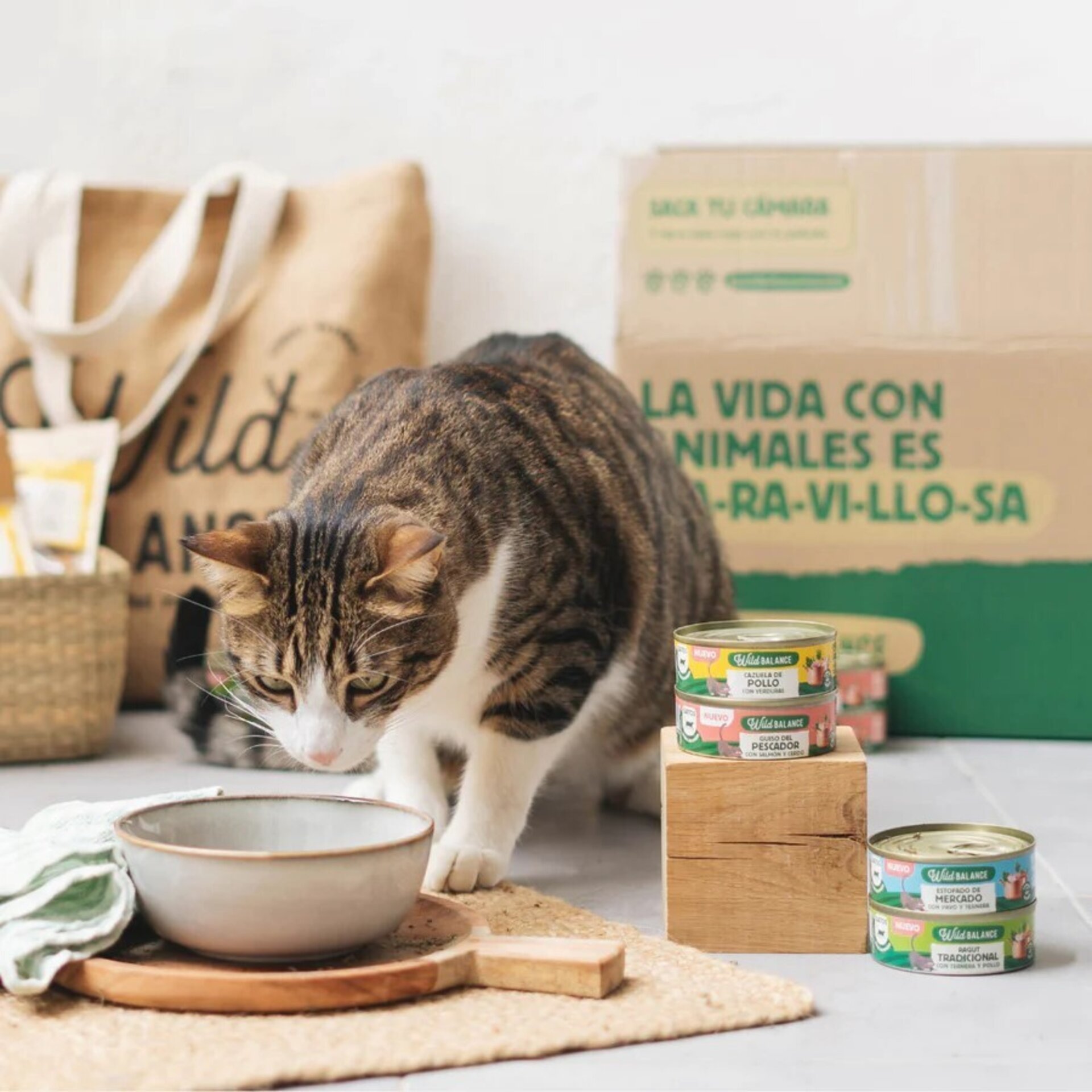 Wild Balance Ragut Tradicional de Ternera y Pollo para Gatos (Filosofía BARF) - 4