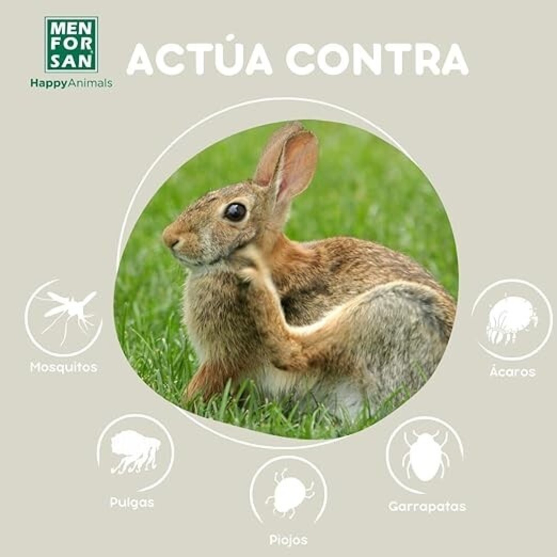 Insecticida Roedores Y Hurones Men For San - 1
