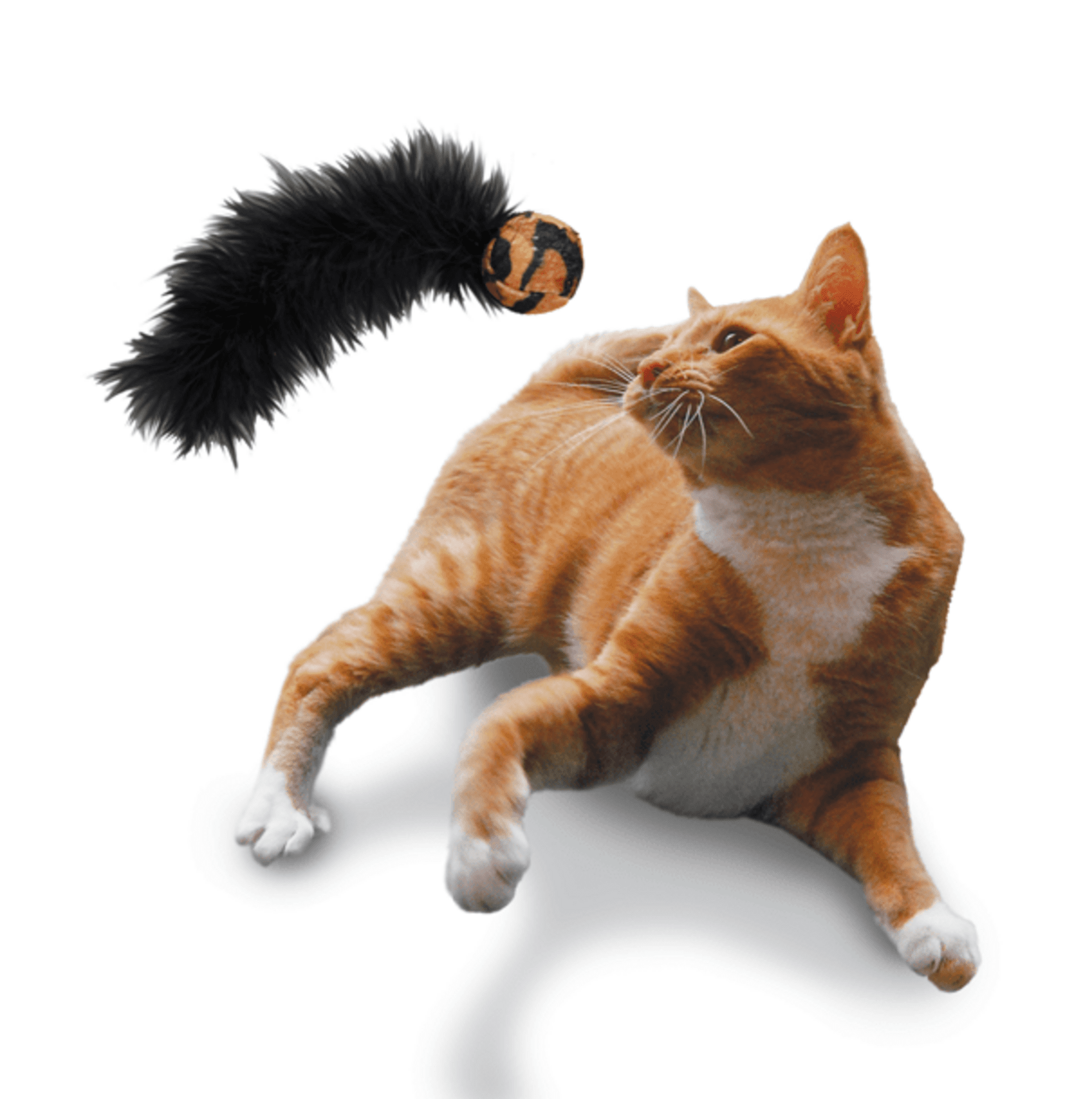 Pelota Kong Wild Tails - 2
