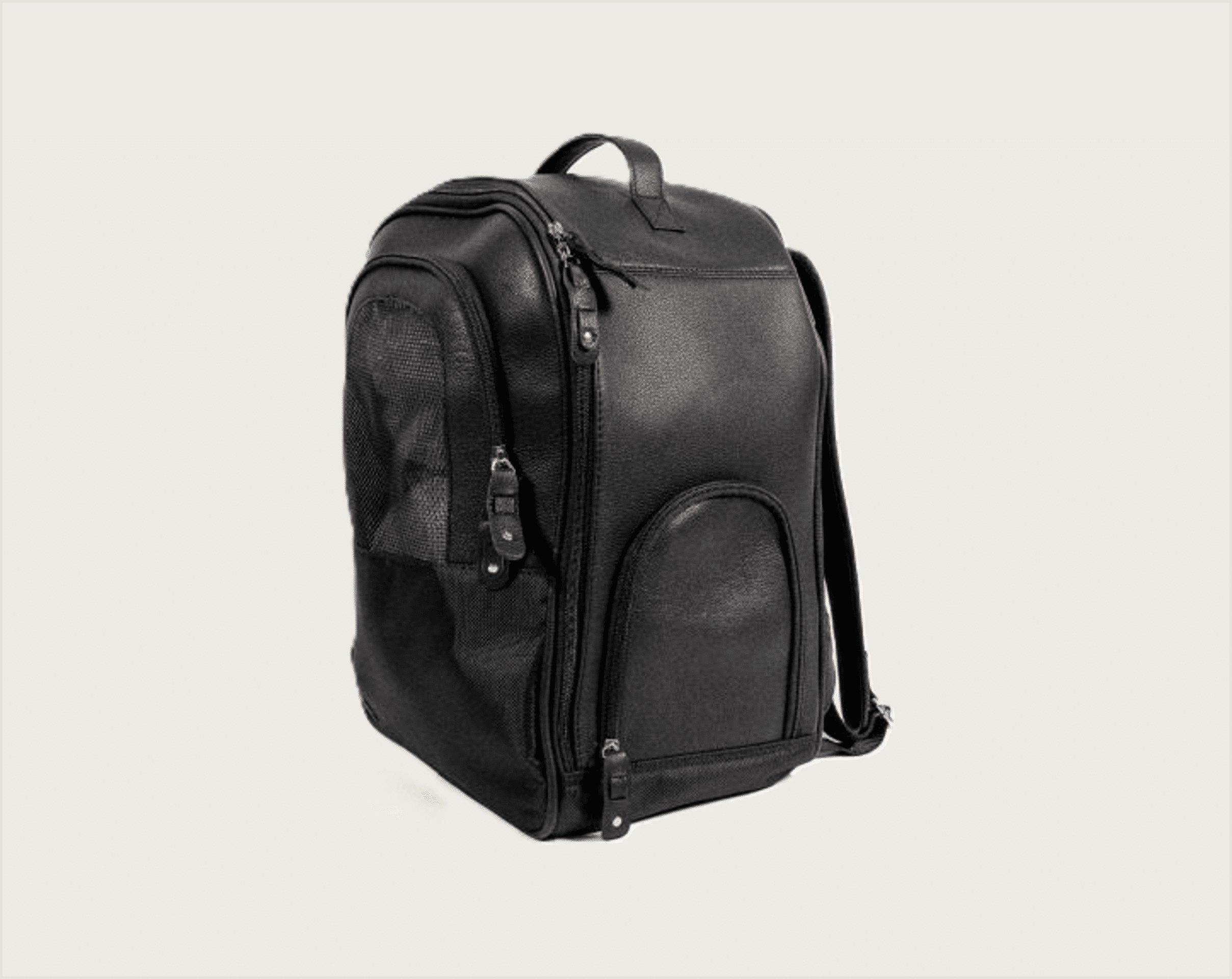 Gloria Mochila Rimjhim para Mascotas - 1