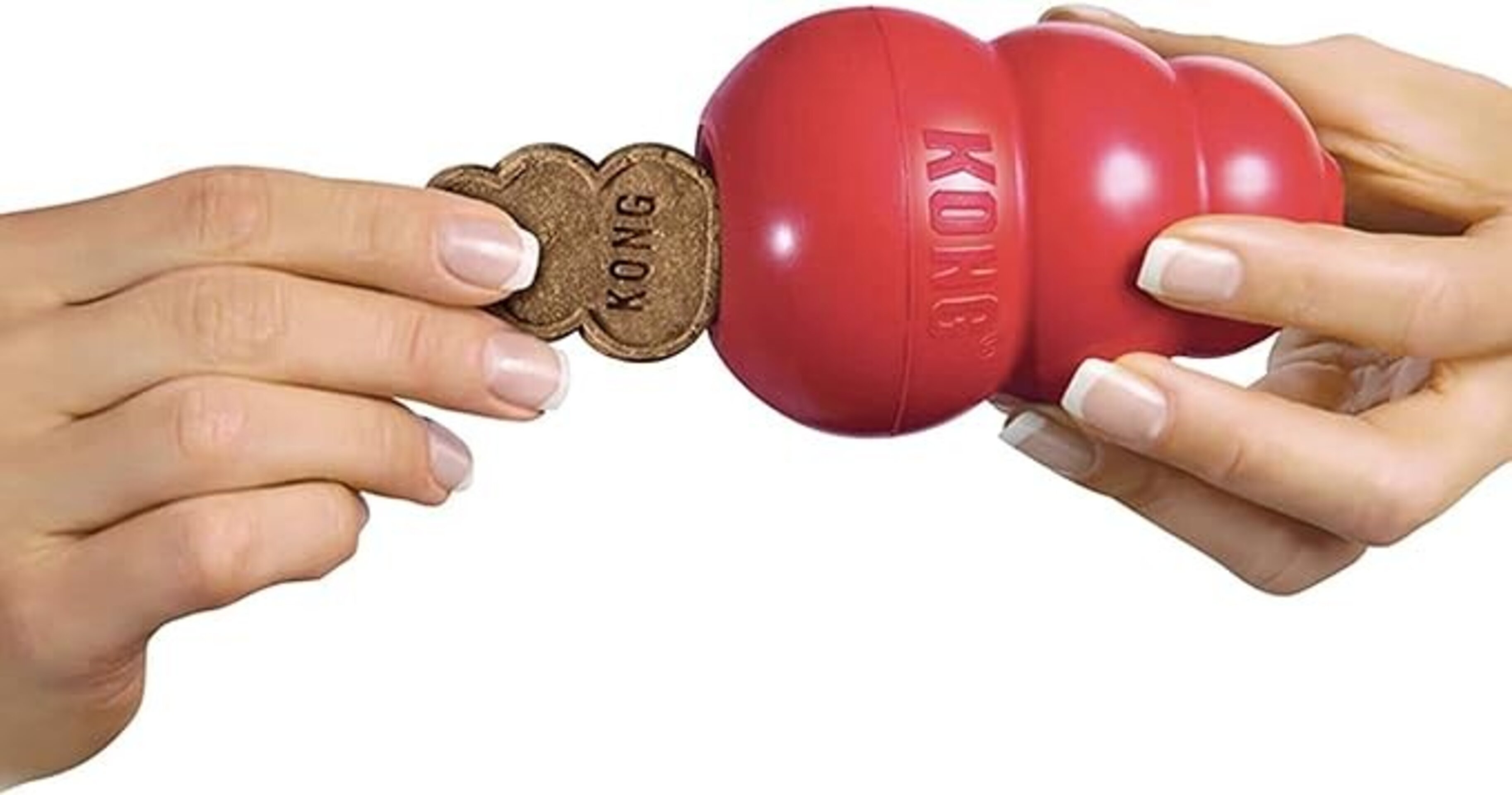 Snacks Kong Puppy - 2