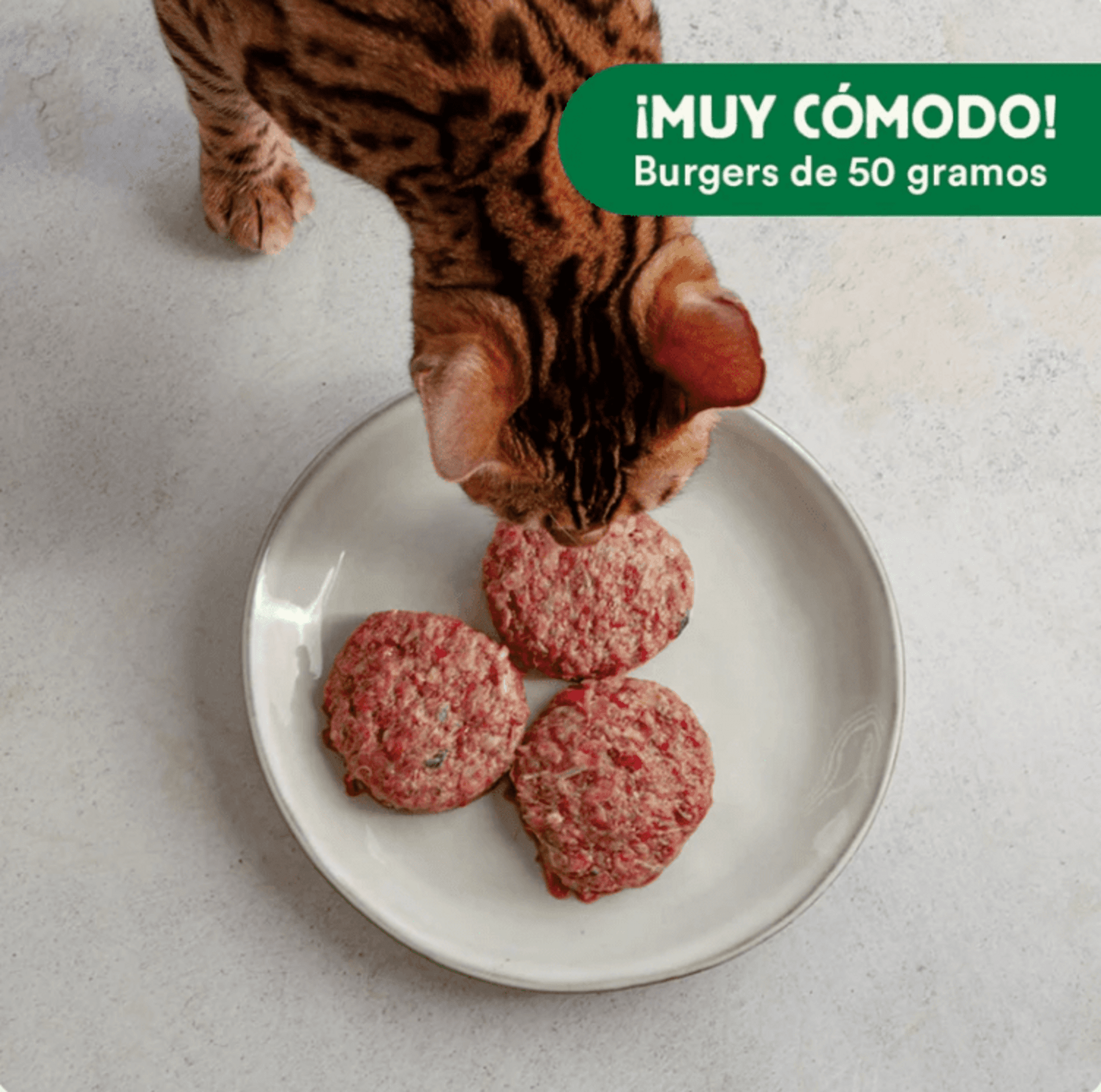Menú BARF De Ternera Con Verduras Frescas - 3