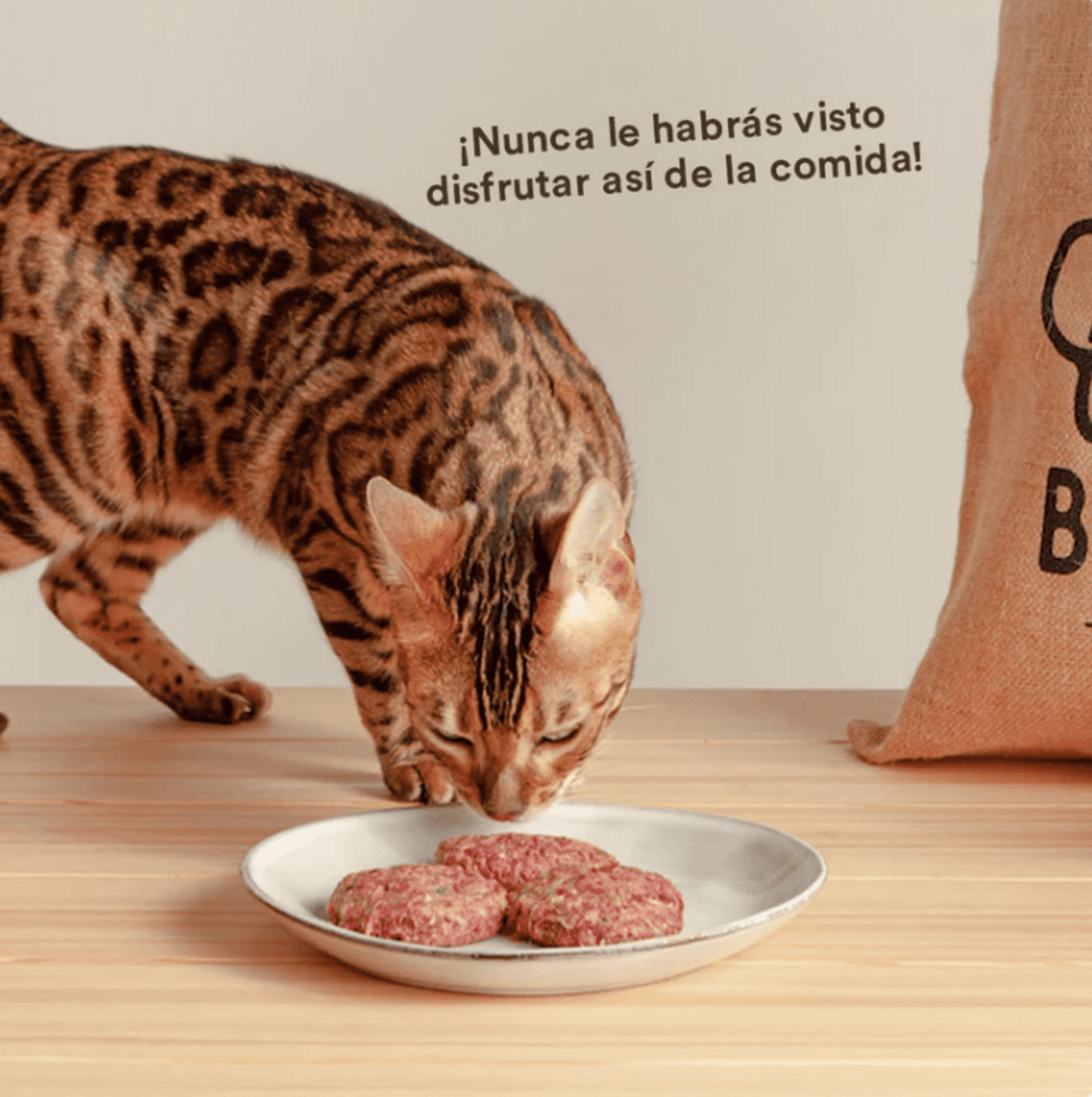 Menú BARF De Salmón Con Verduras Frescas - 6