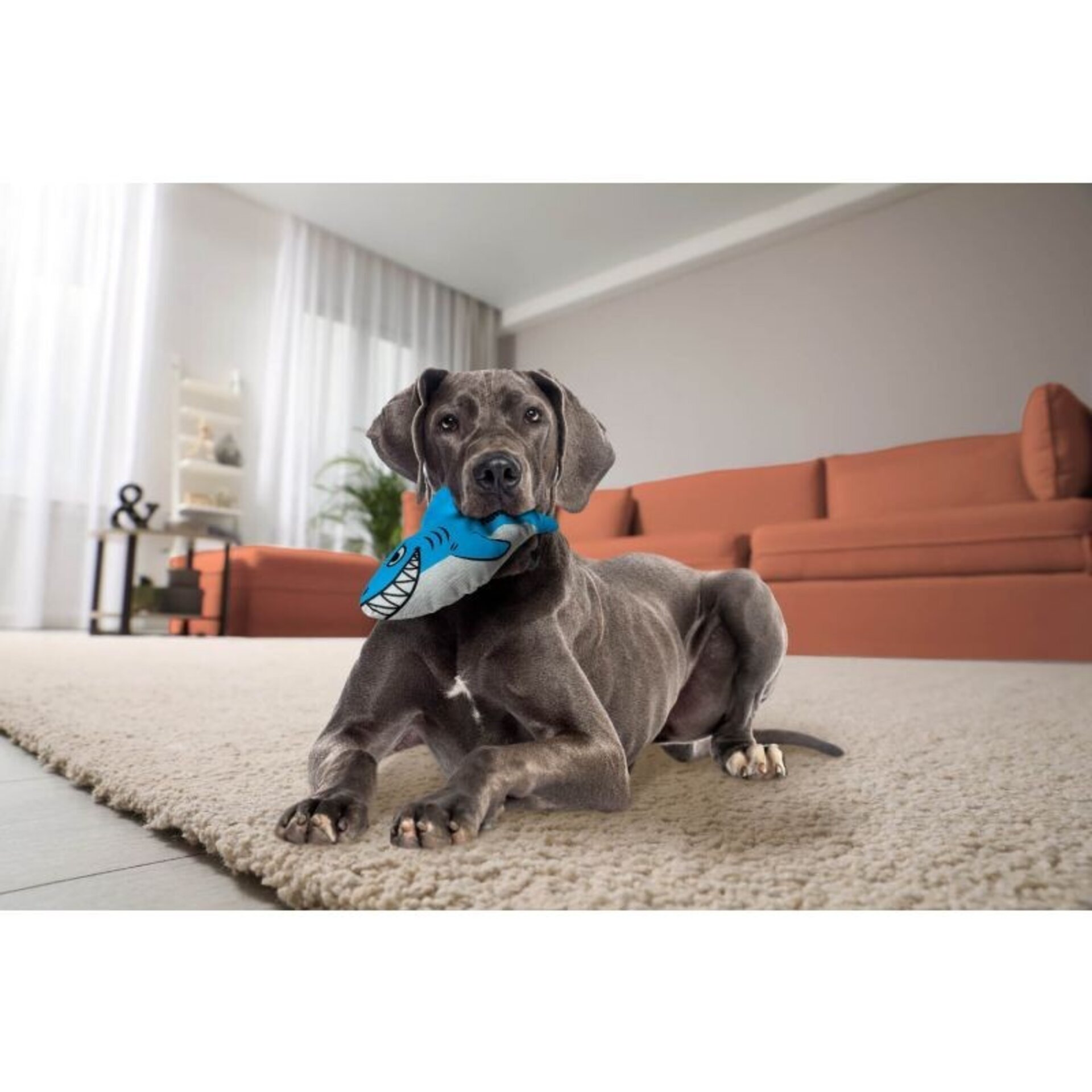 Peluche Kong Maxx Shark - 1