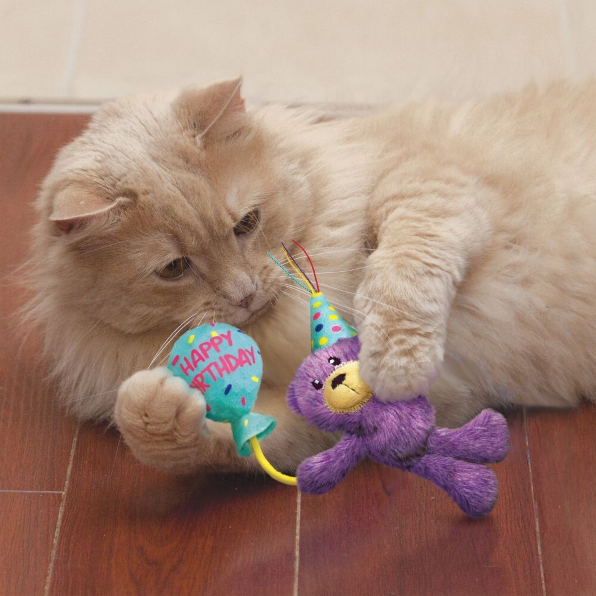 Peluche Kong Cat Occasions Birthday Teddy - 3