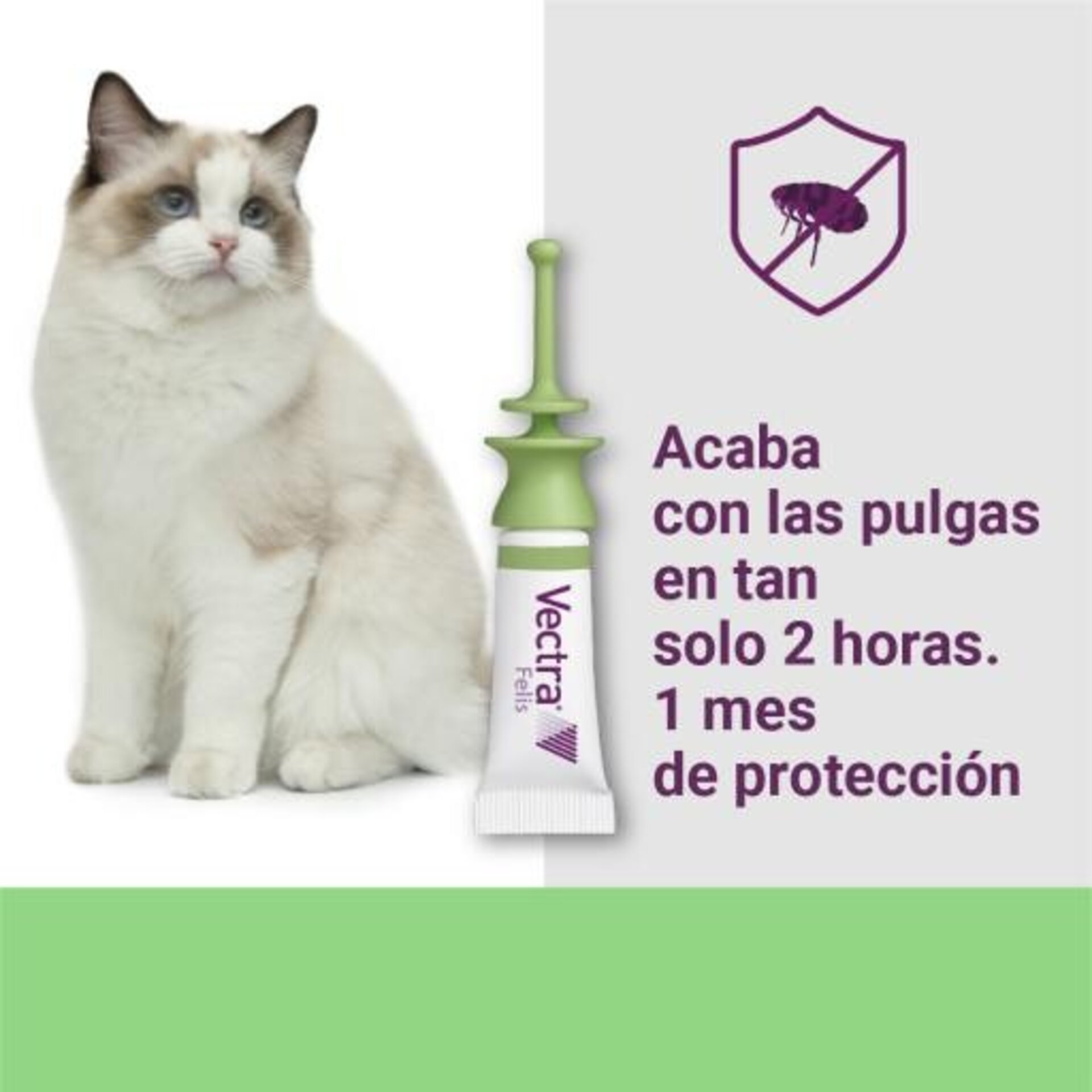 Vectra Felis Solución Spot-On Para Gatos - 2