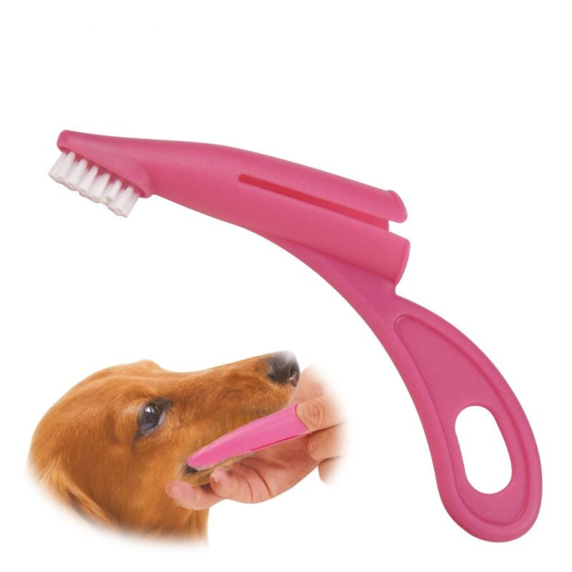 Cepillo De Dientes Para Perro - 2