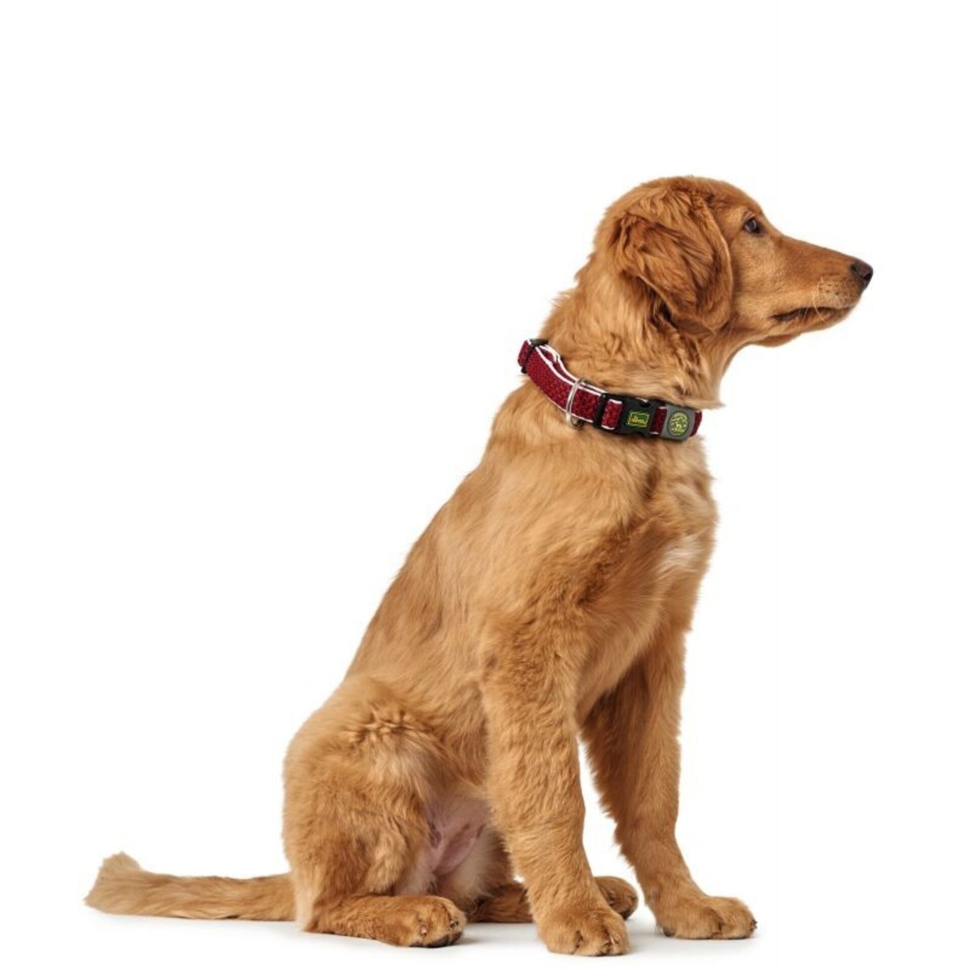 Collares Hilo Vario Plus Hunter - 5