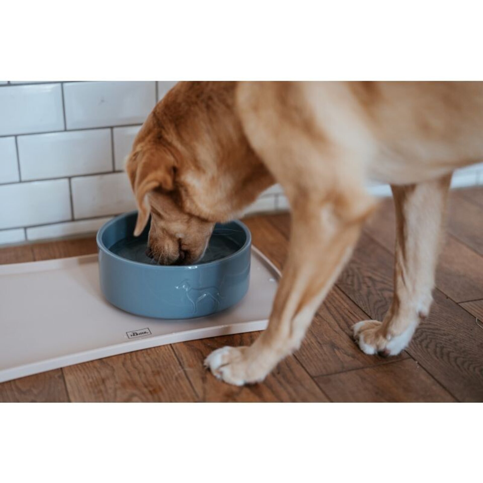 Comederos De Ceramica Osby Glazed Hunter - 3