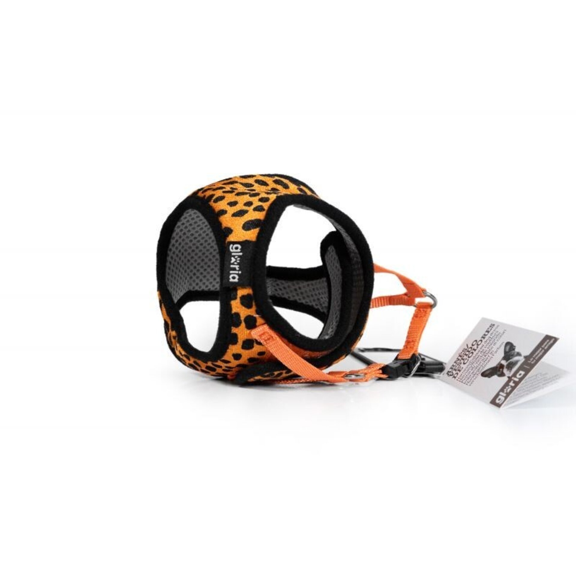 Gloria Petral Leopardo - 8