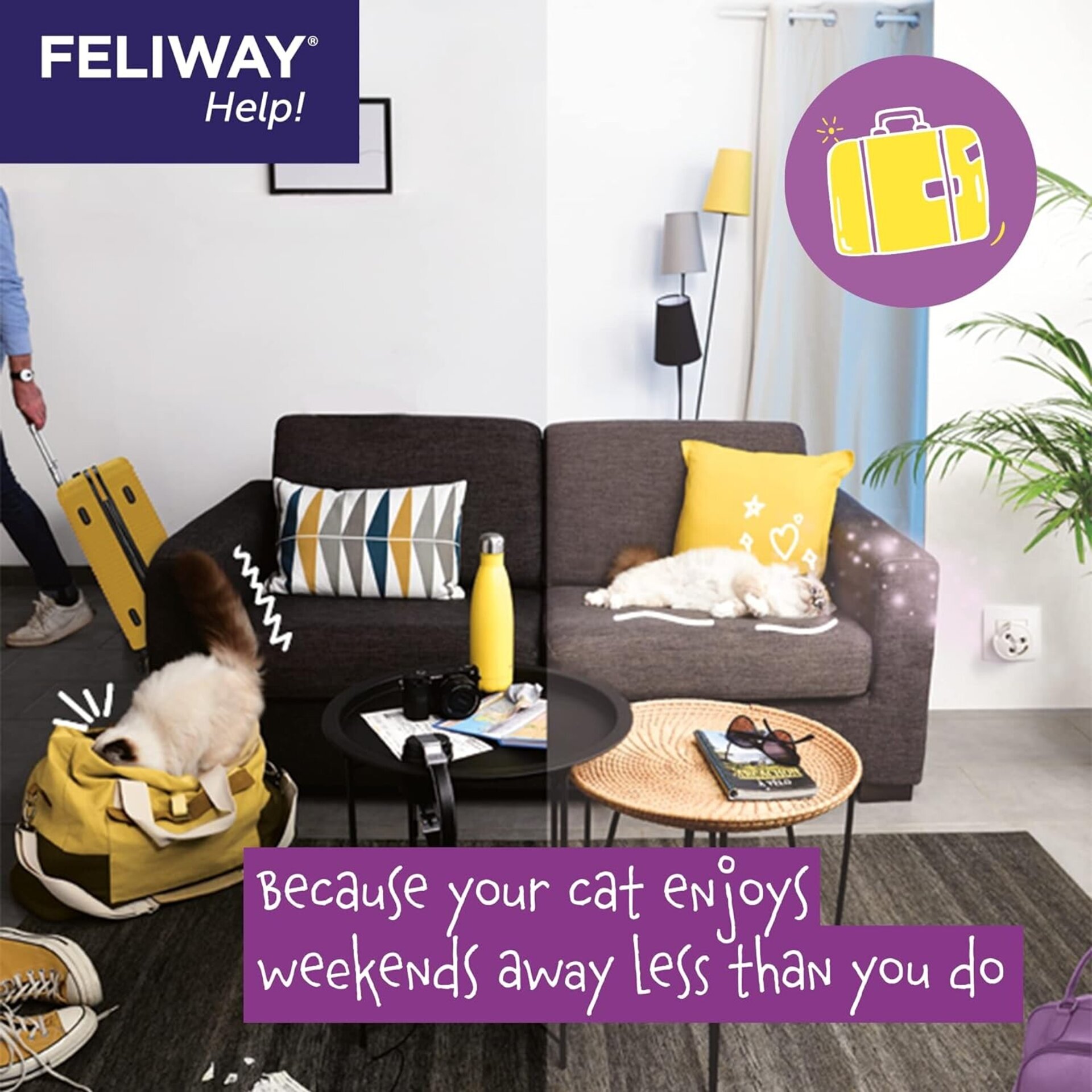 Feliway Help Pack De 3 Unidades - 6