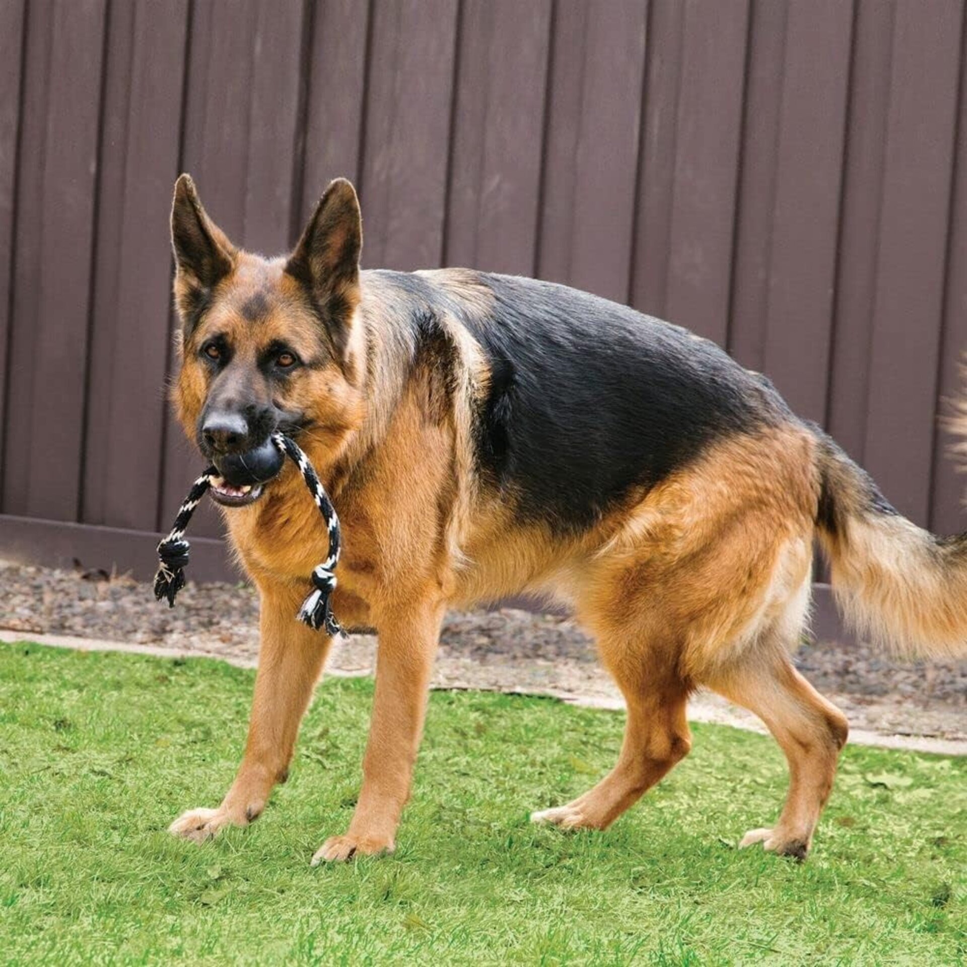 Pelota Con Cuerda Kong Extrem W/Rope - 3