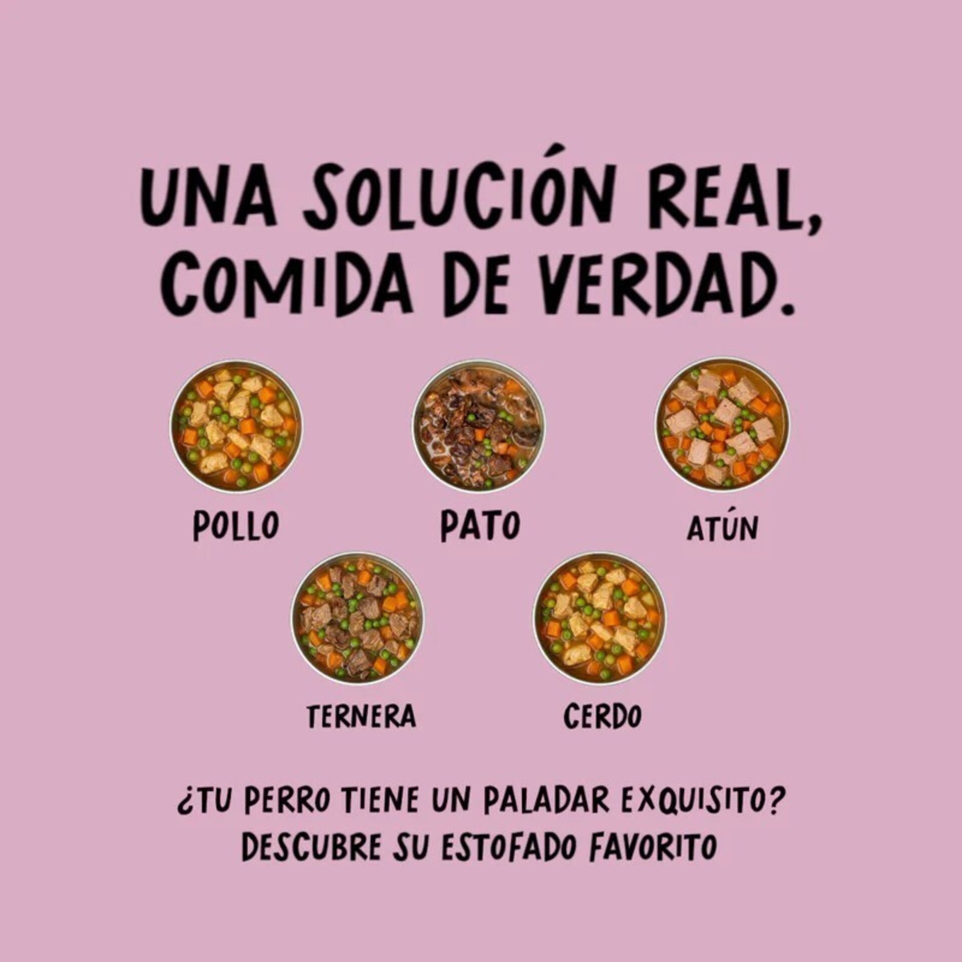 Cocosi Estofado Casero De Pato - 4