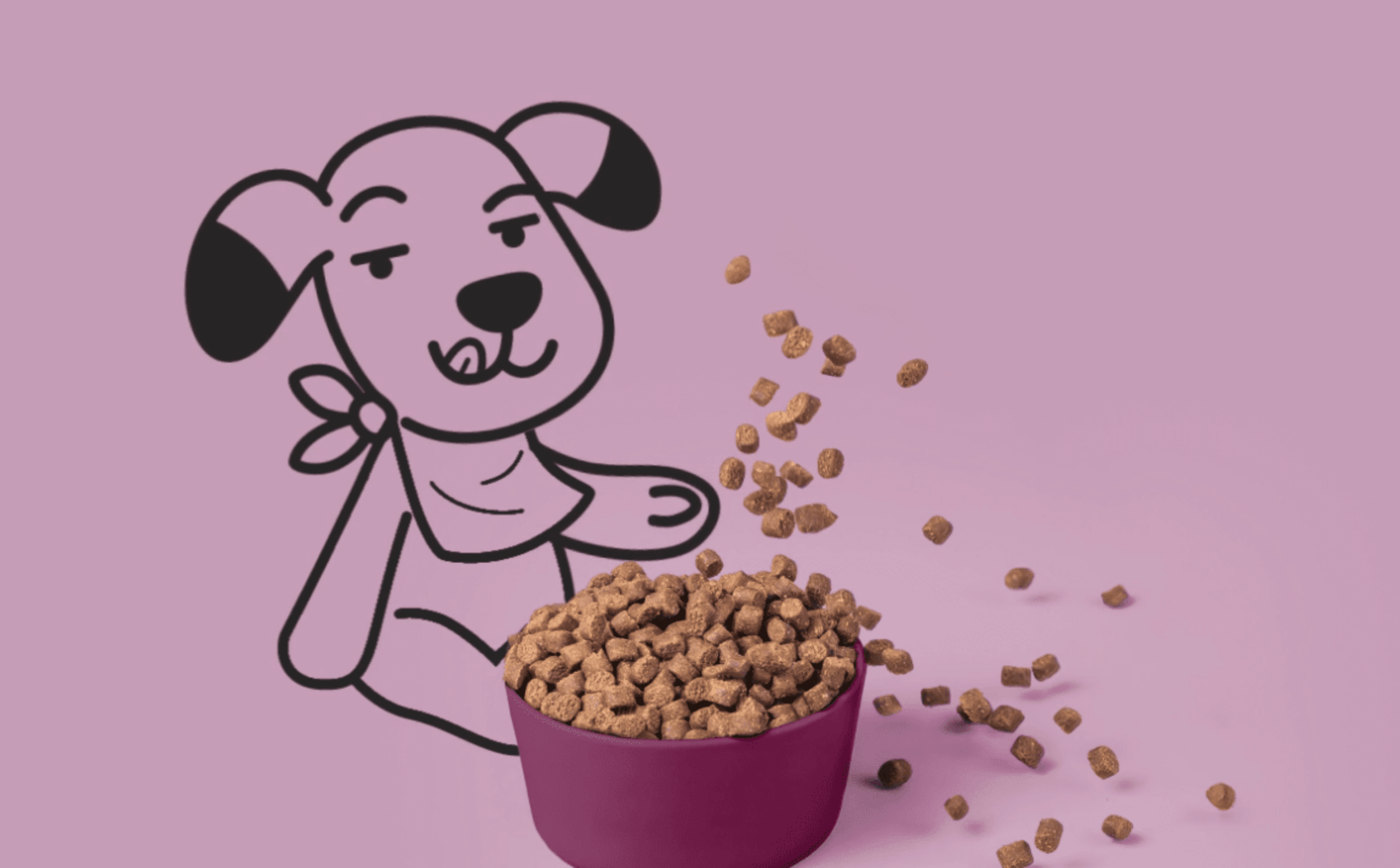 Cocosi Con Carne De pollo - 4