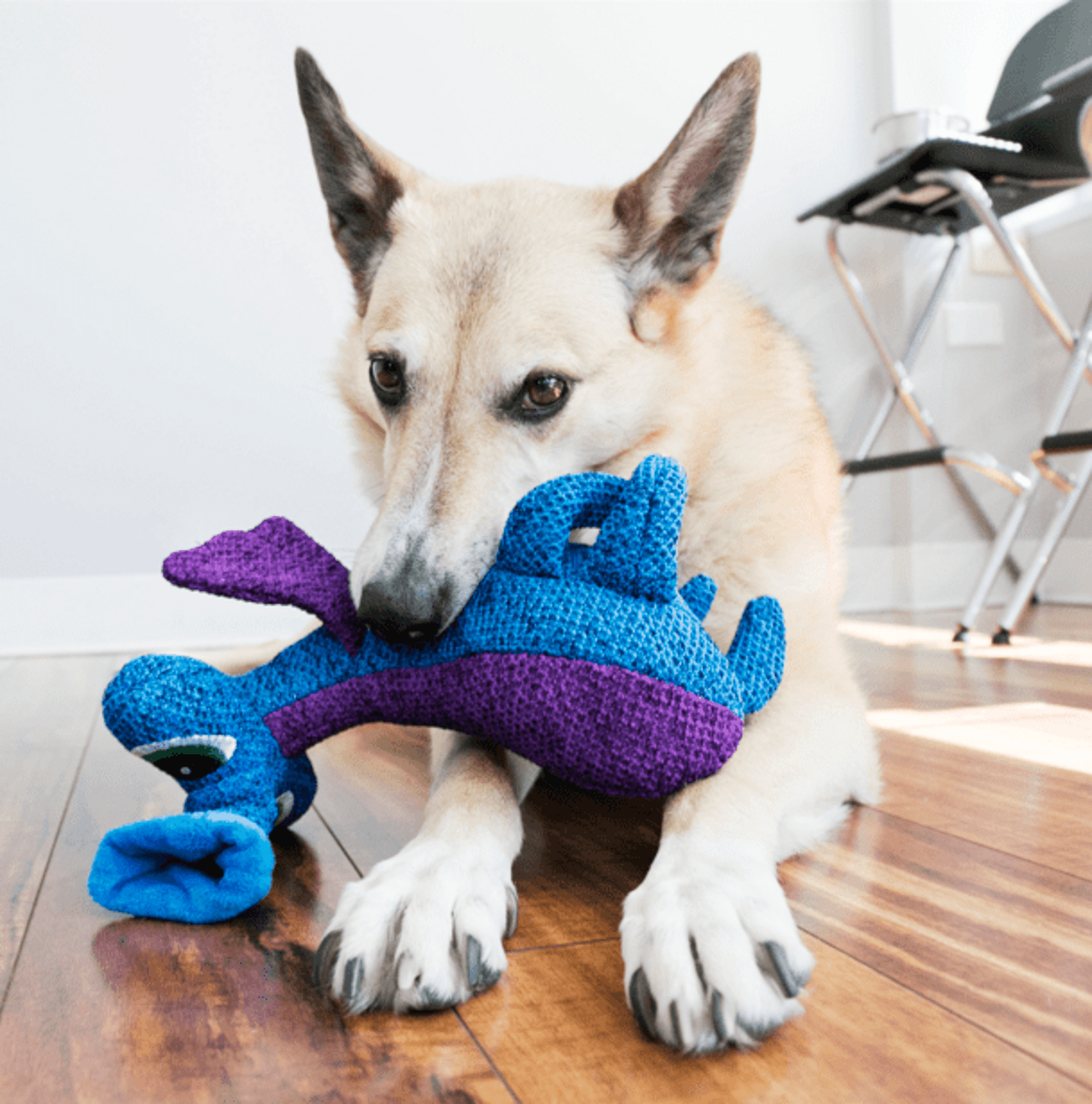Peluche Kong Woozles Blue - 1