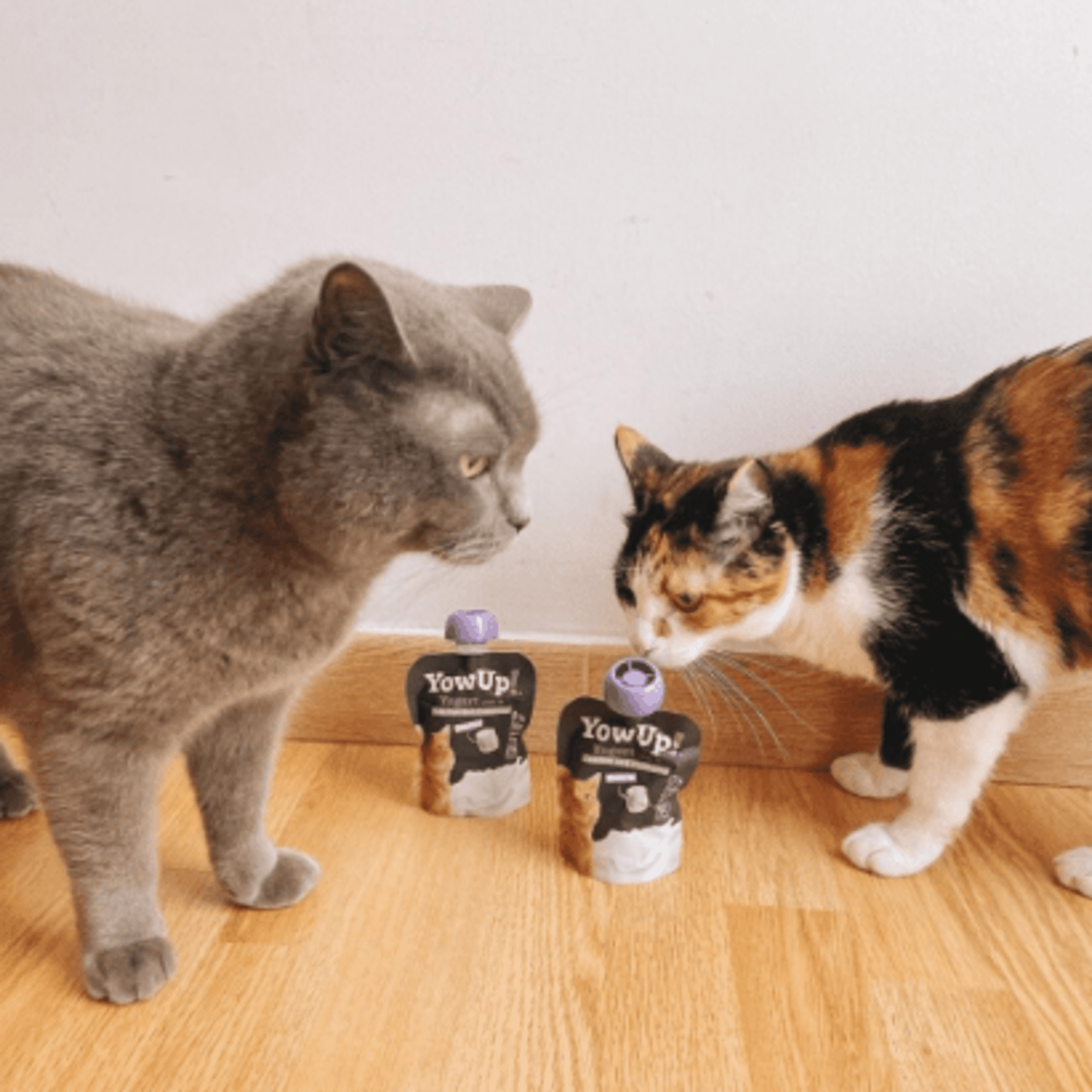 Yowup Yogur Prebióticos Para Gatos - 6