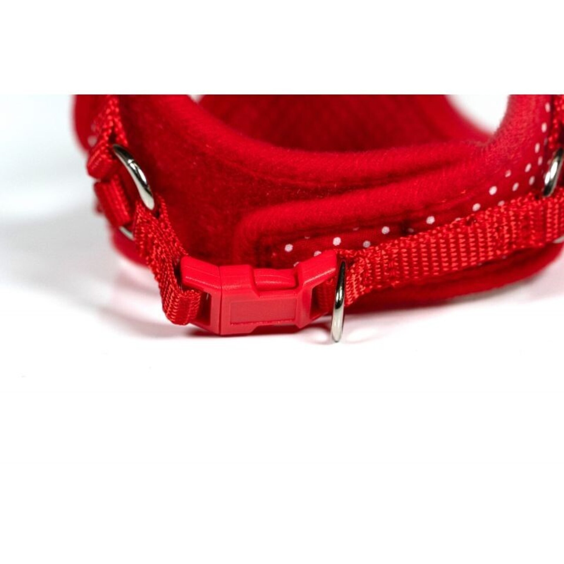 Gloria Petral de Colores y Puntos - 7