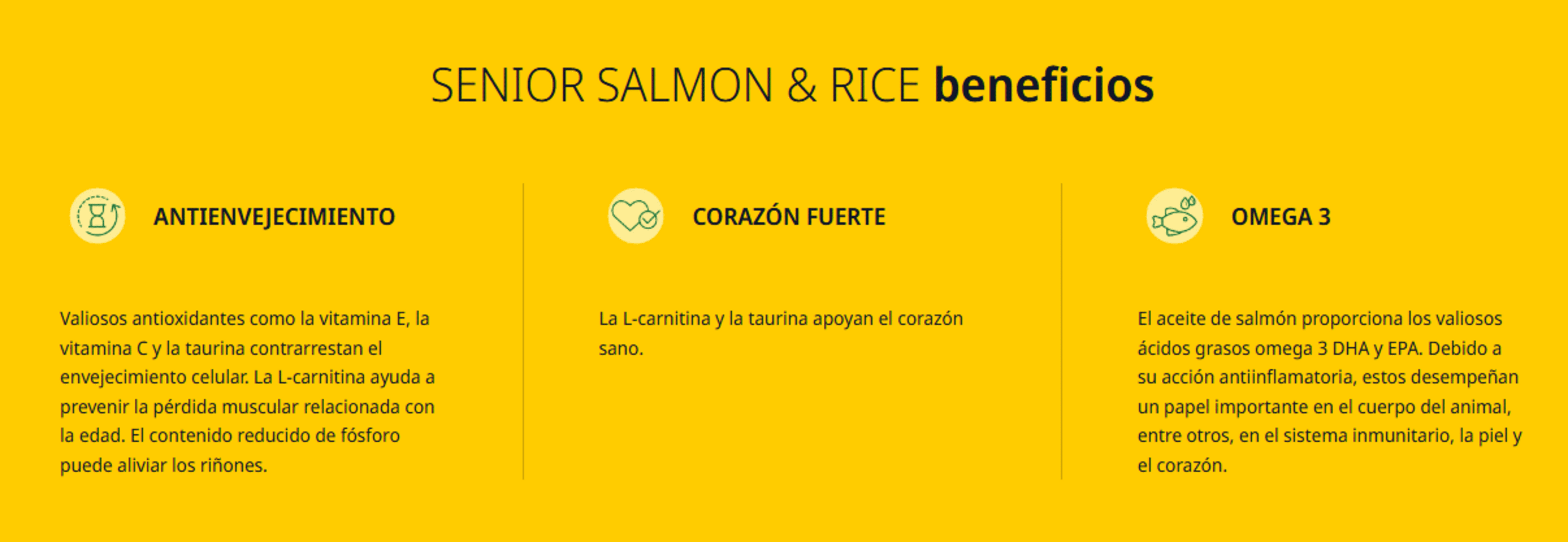 Salmon & Rice Senior Josera - 4
