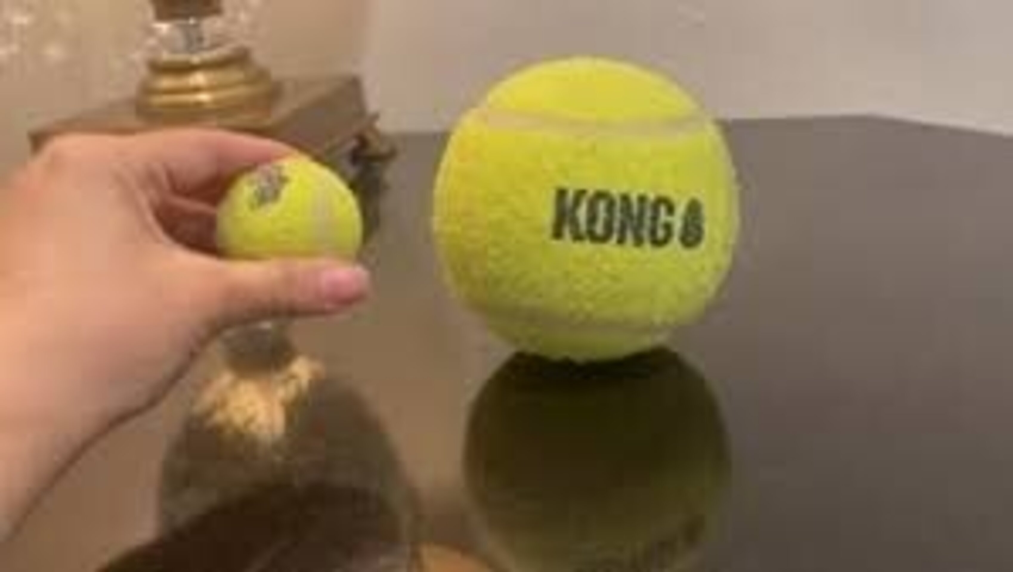 Kong AirDog Squeakair Balls para Perros - 5