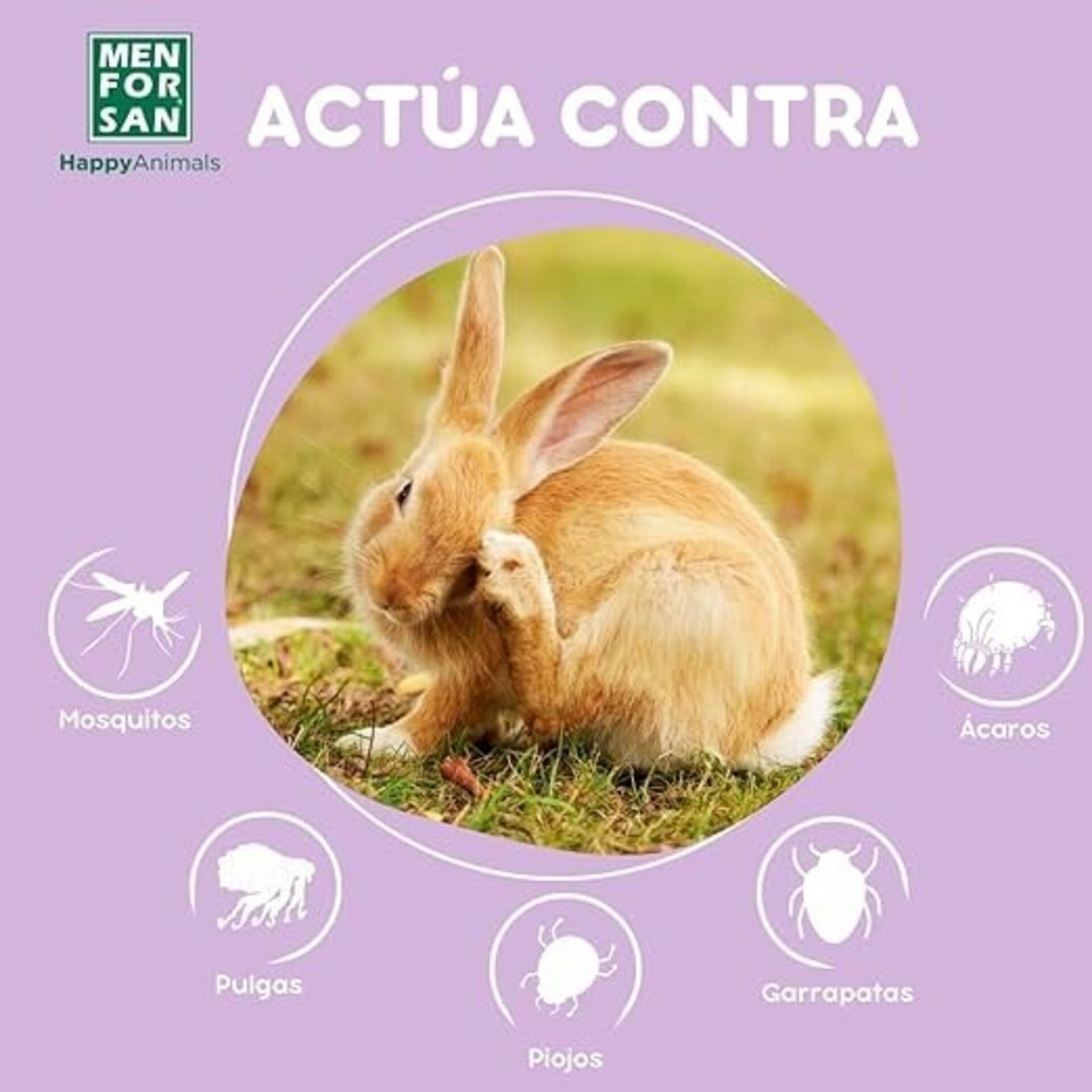 Spray Anti insectos Roedores, Hurones Conejos Men For San - 2