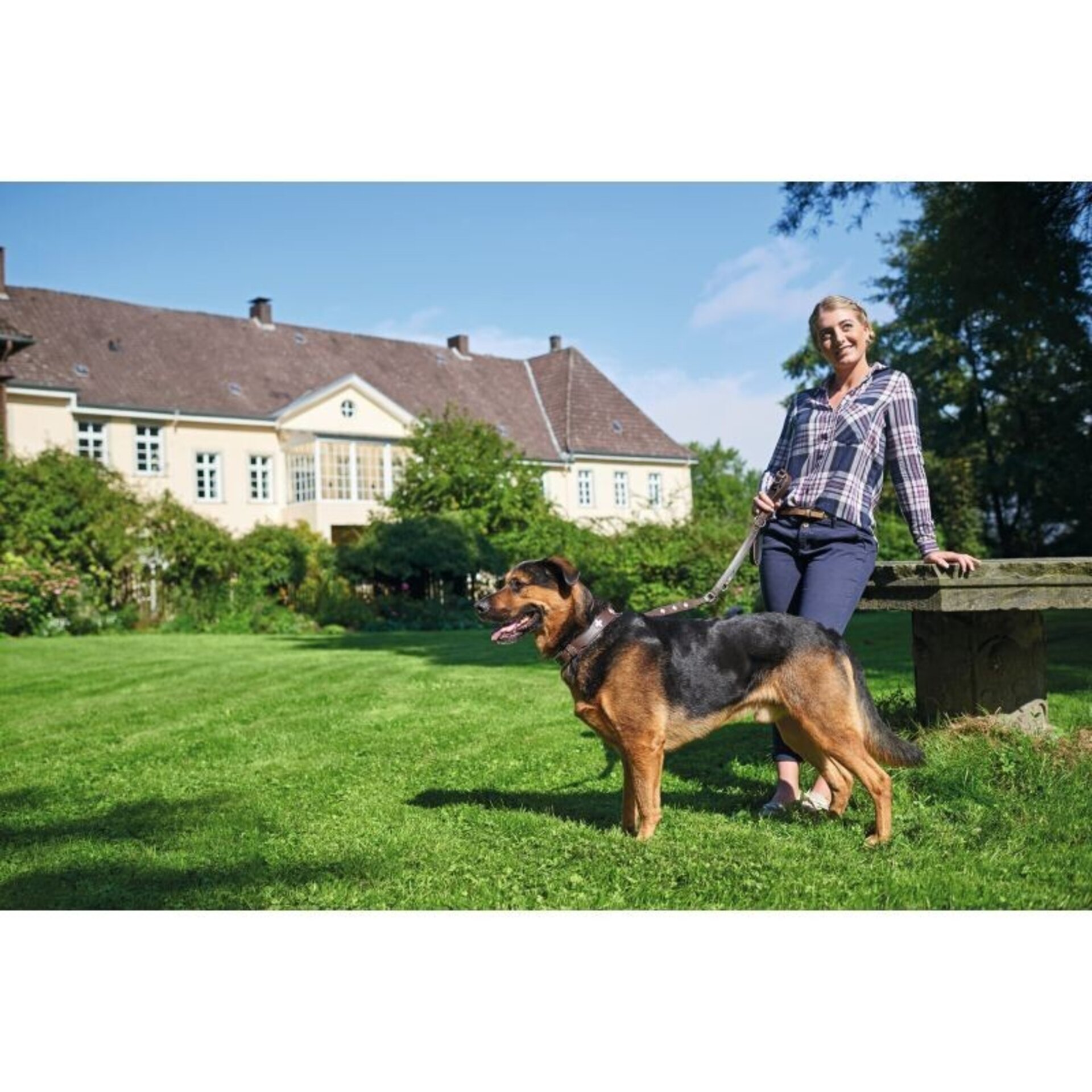 Collares Swiss Hunter - 3