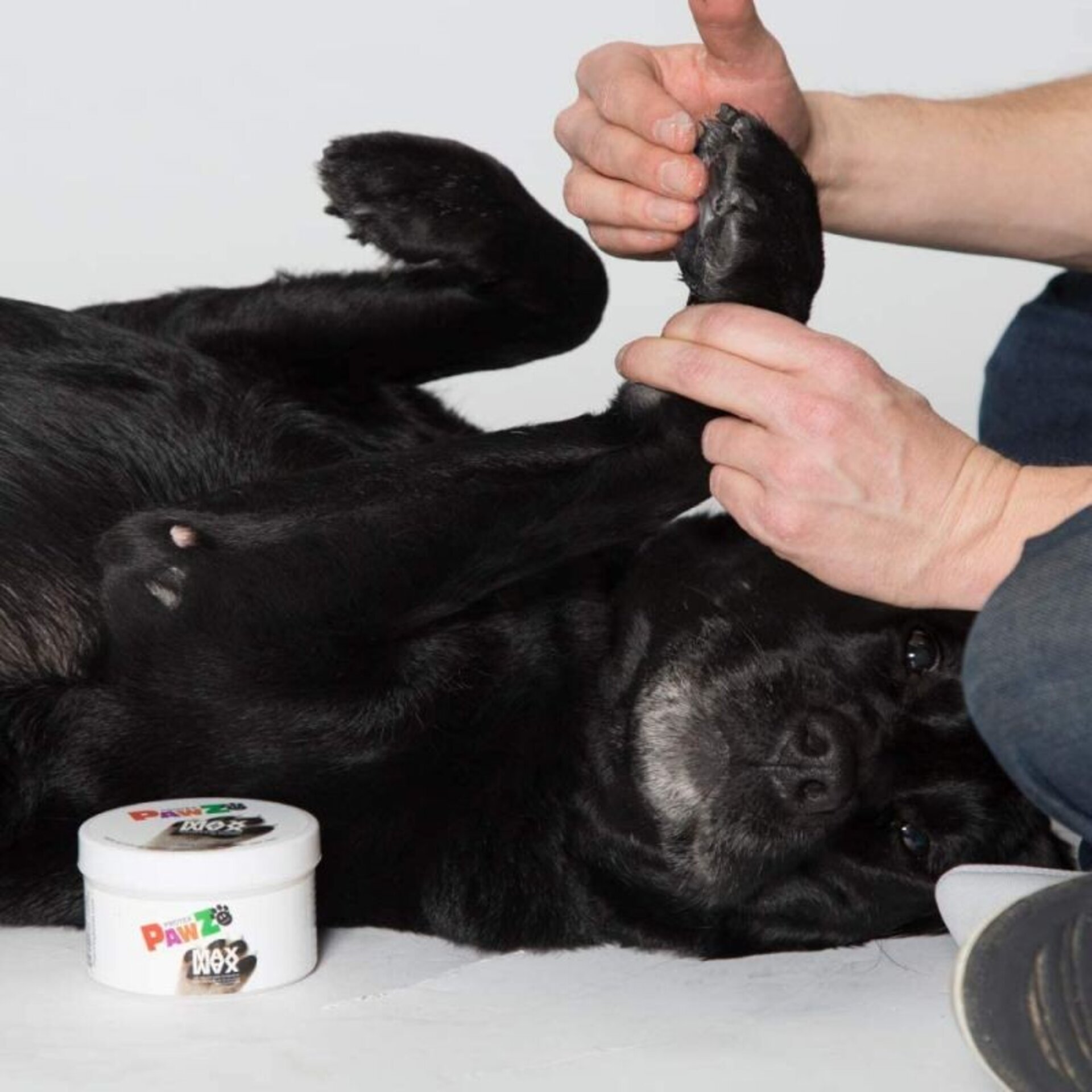 Pawz MaxWax - 4