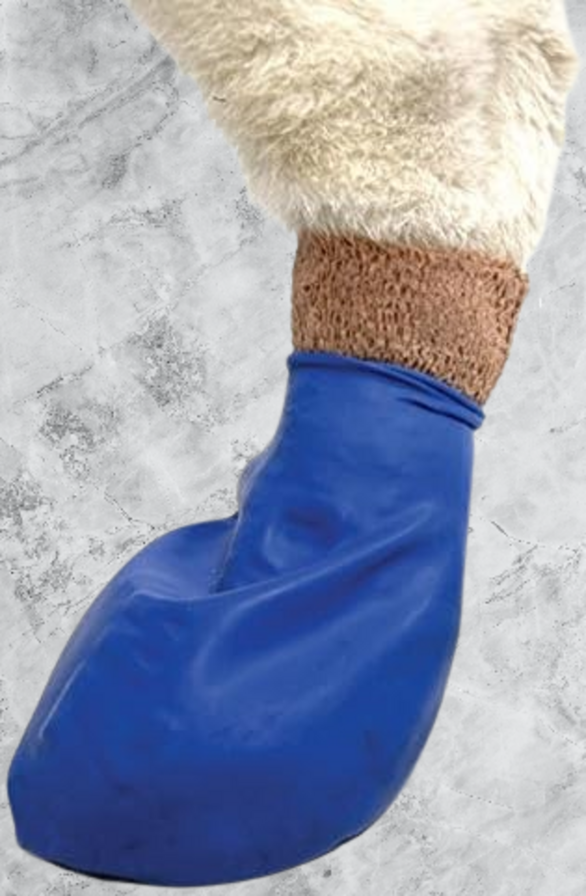 Pawz Botas Para Perros M - 2