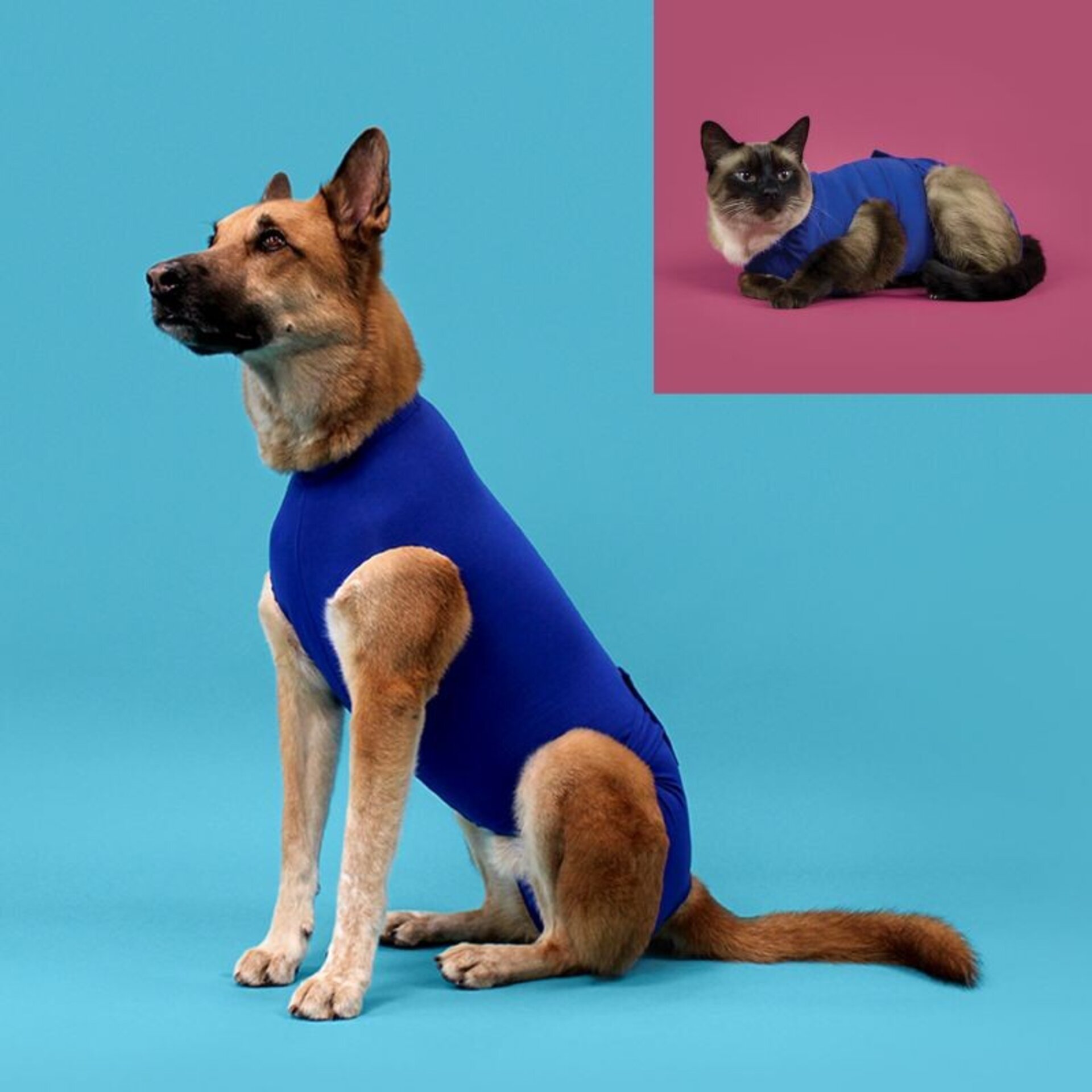 Camiseta Recova Para La Ansiedad - 1