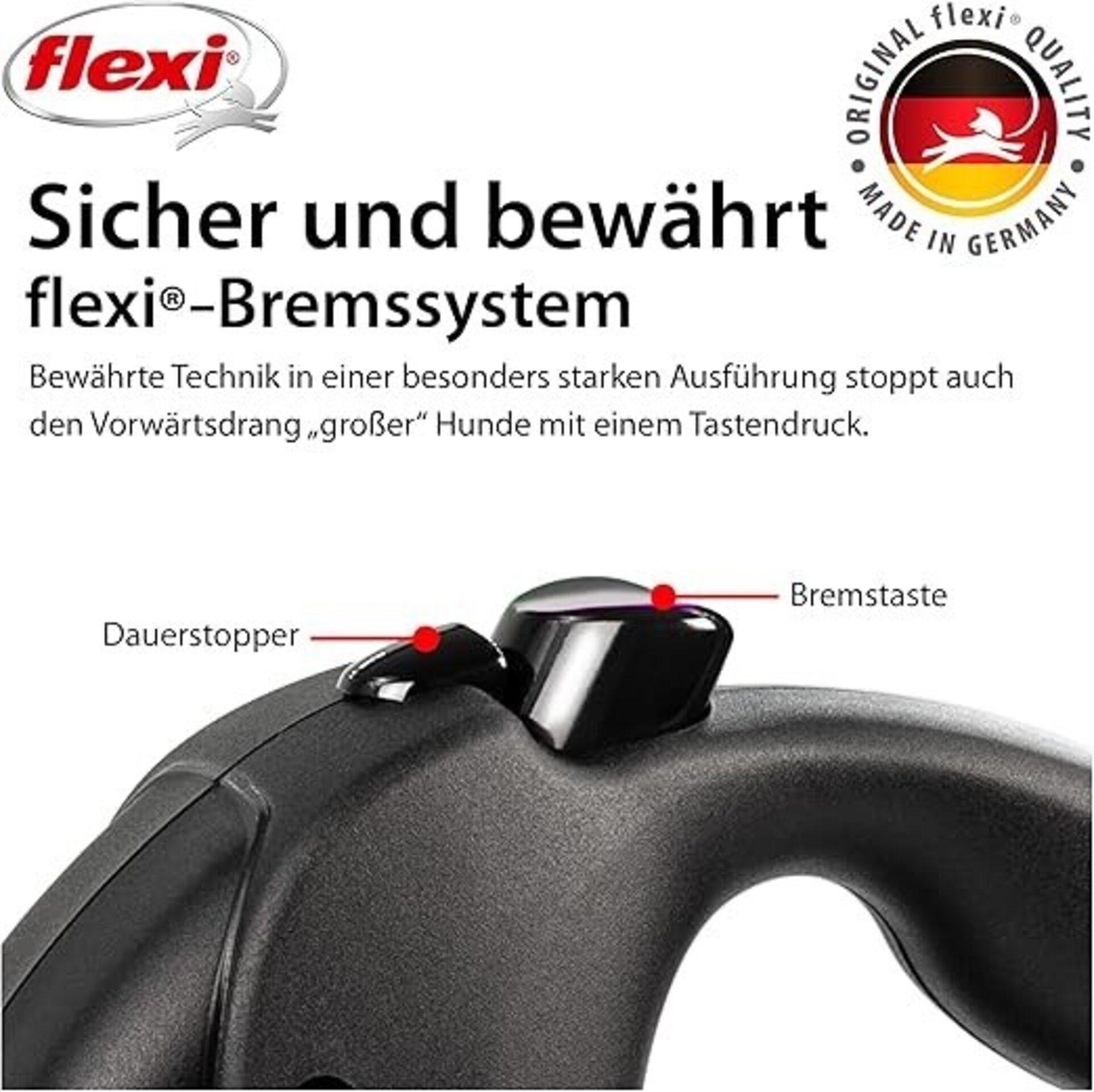 Correa Flexi Giant Black Edition Cinta - 5