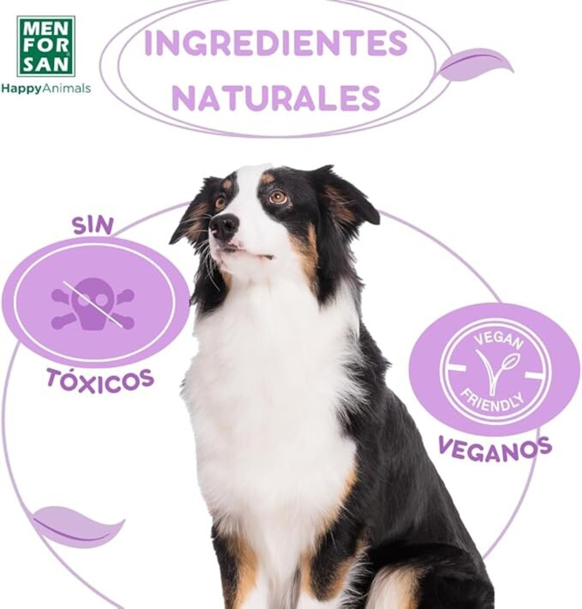 Collar Anti Insectos 3 Activos Perro - 7