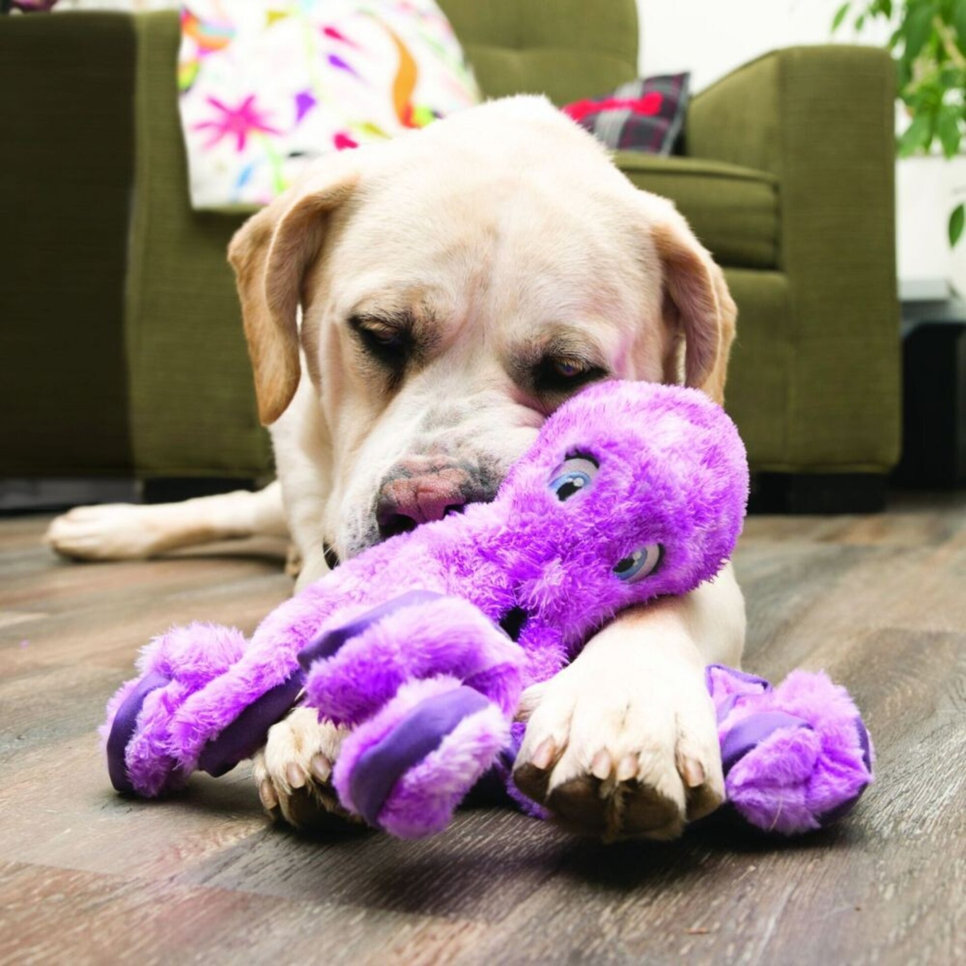 Peluche Kong Softseas Octopus - 3