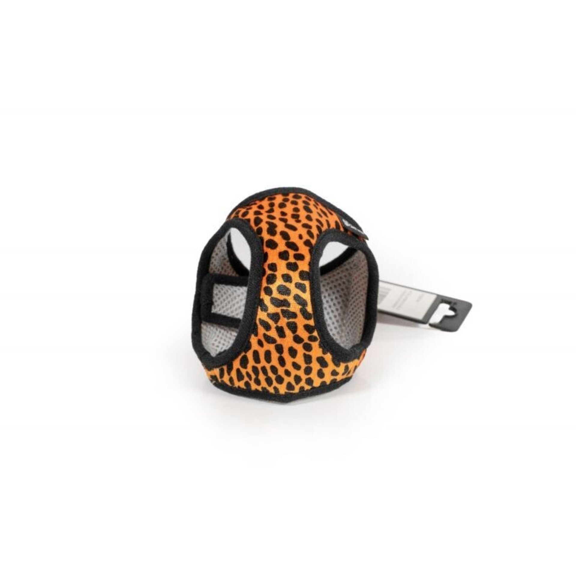 Gloria Petral Leopardo - 10