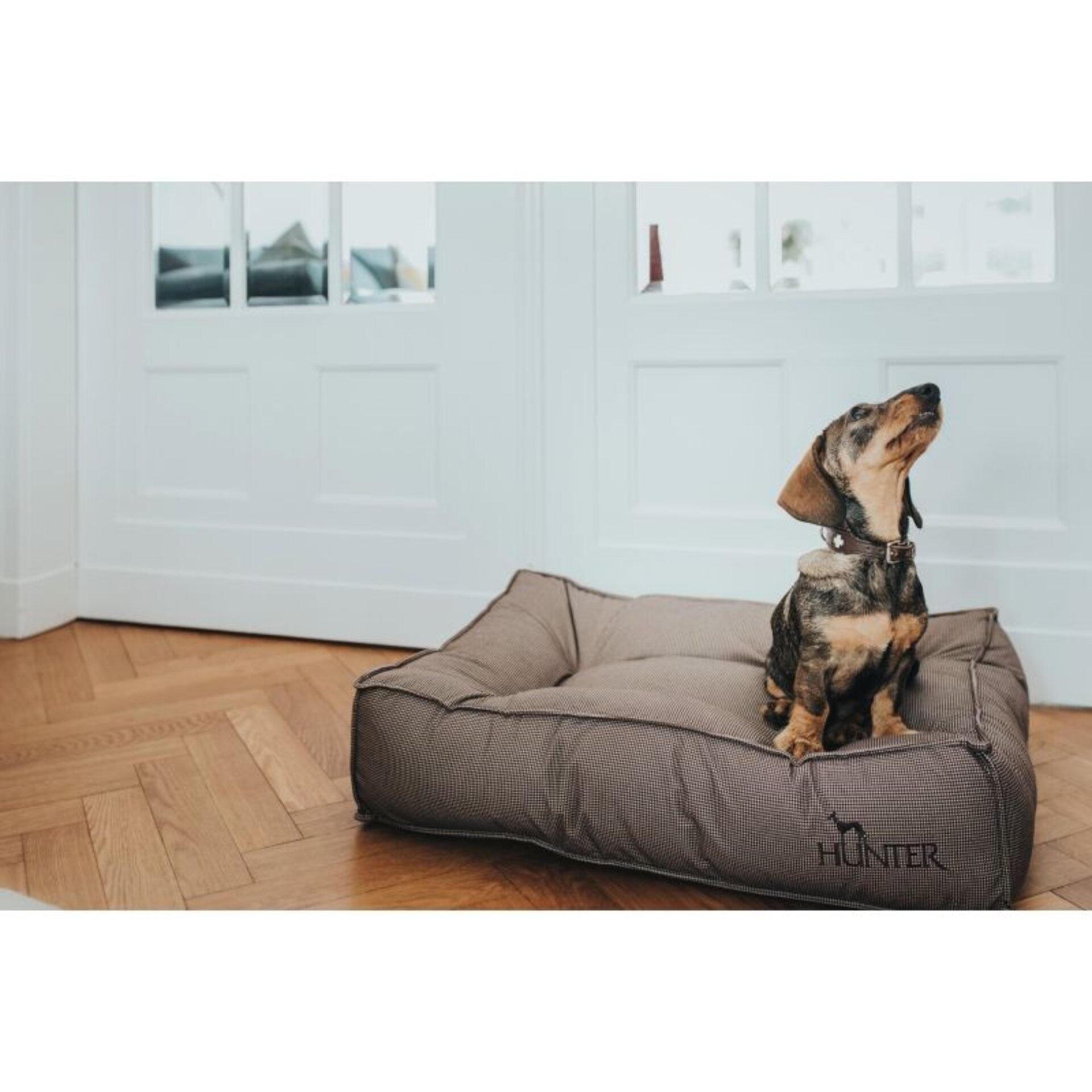 Cama Acolchada Lancaster Hunter - 2