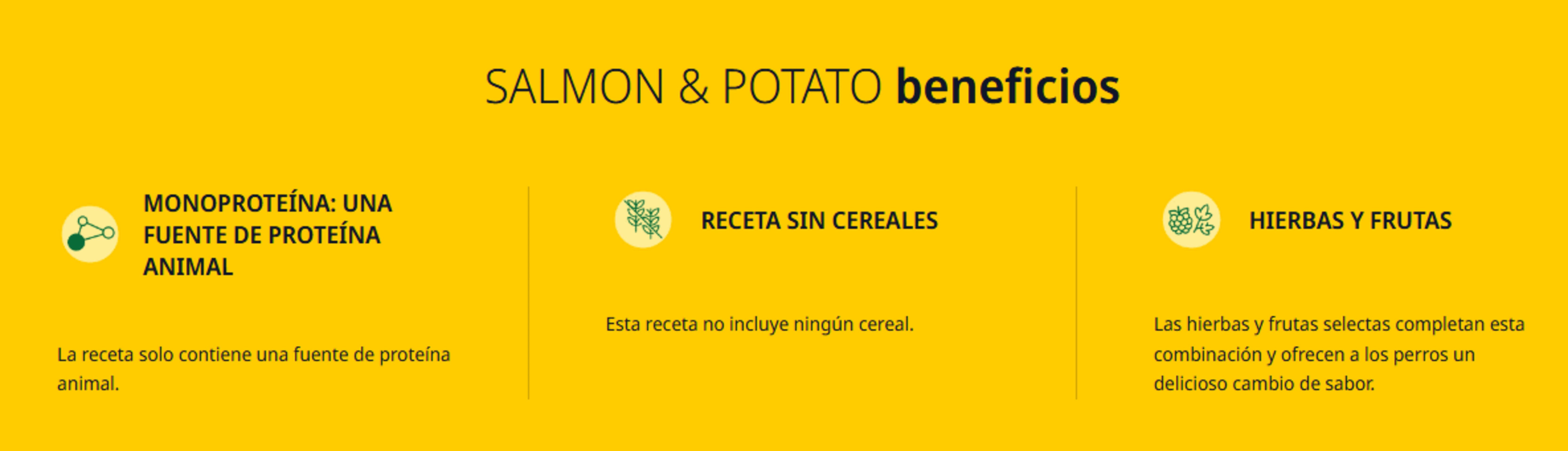 Salmón y Patata Grain Free Adulto Josera - 2