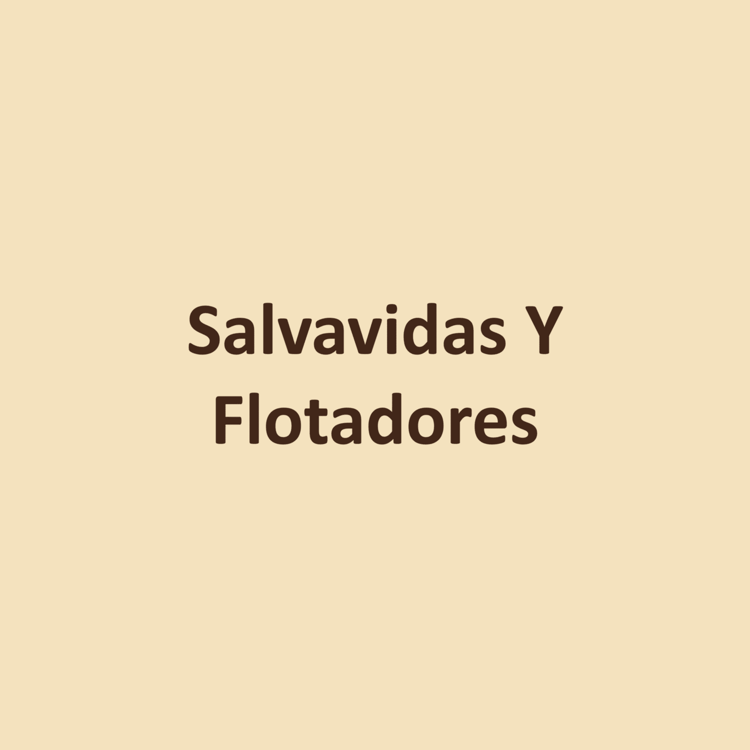Salvavidas Y Flotadores