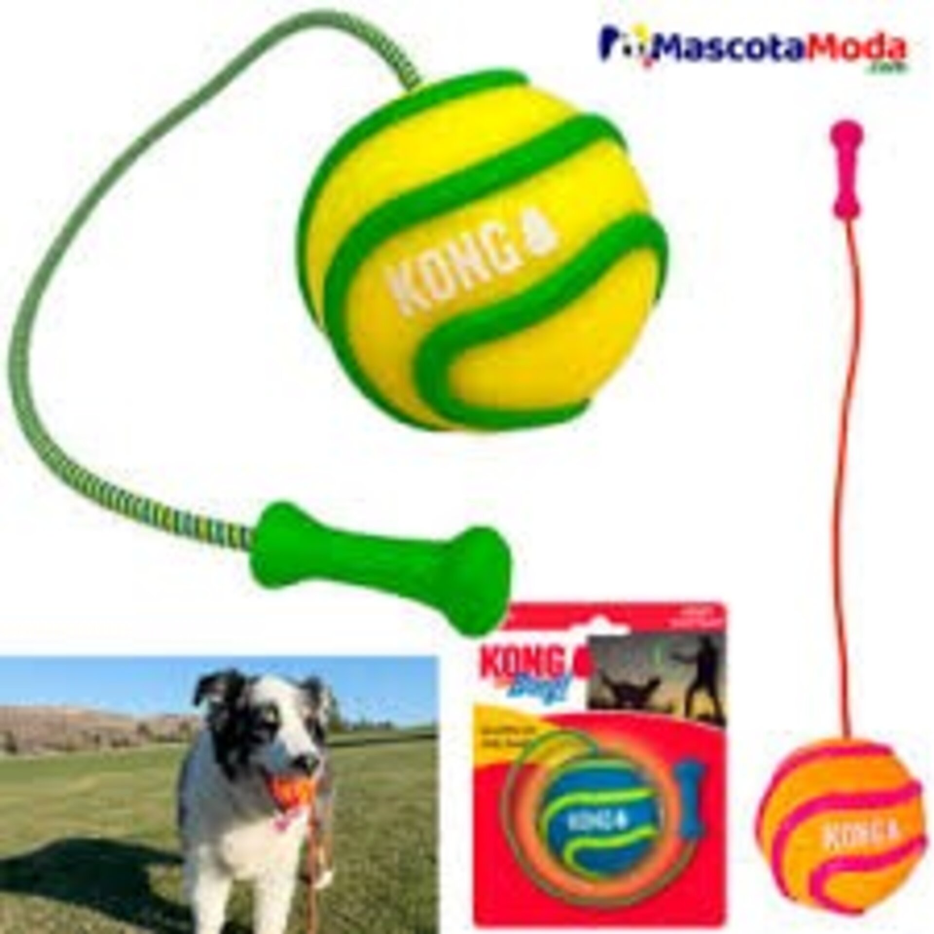 Kong Wavz Bunjiball para Perros - 3
