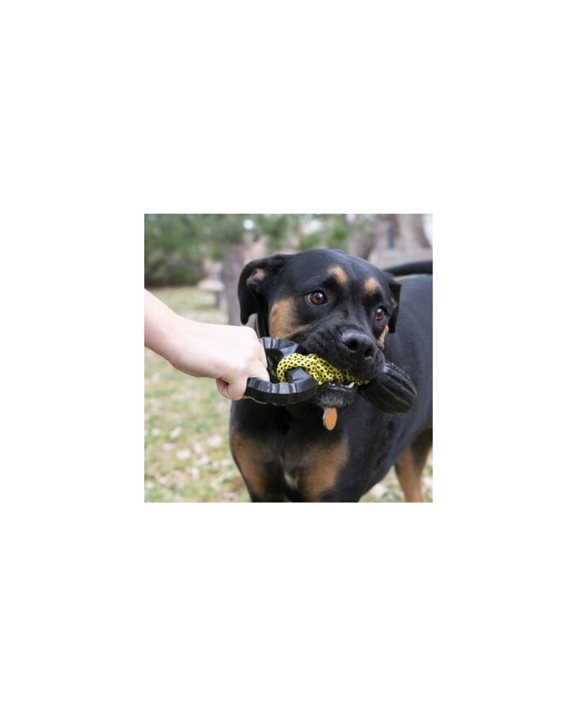 Kong Jaxx Braided Tug para Perros - 3