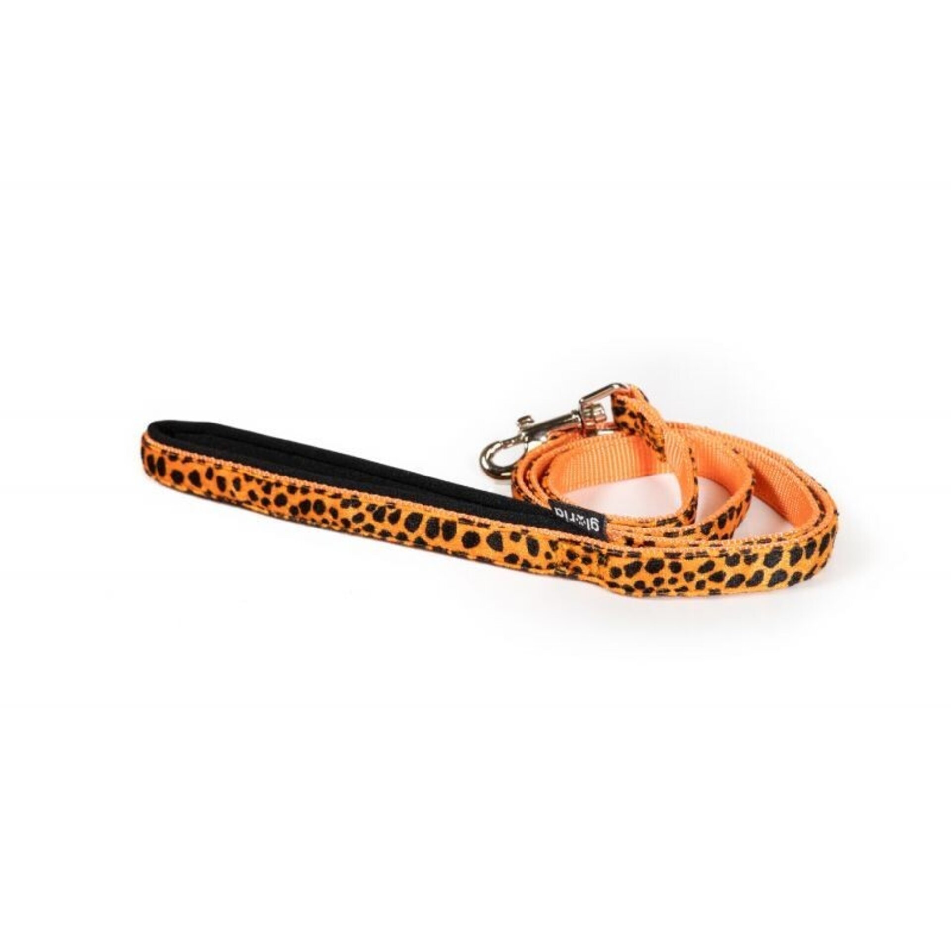 Correas Leopardo - 3