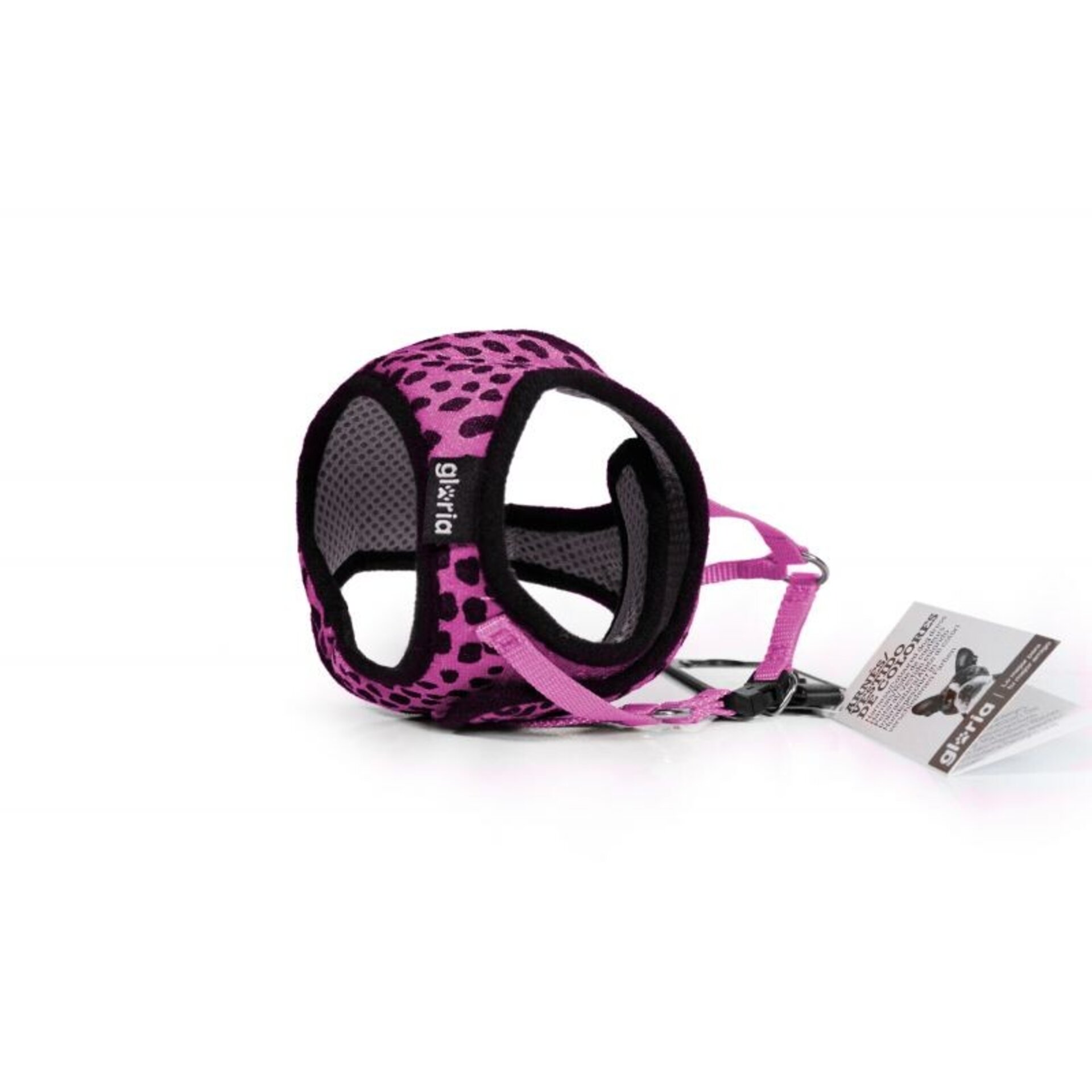 Gloria Petral Leopardo - 13